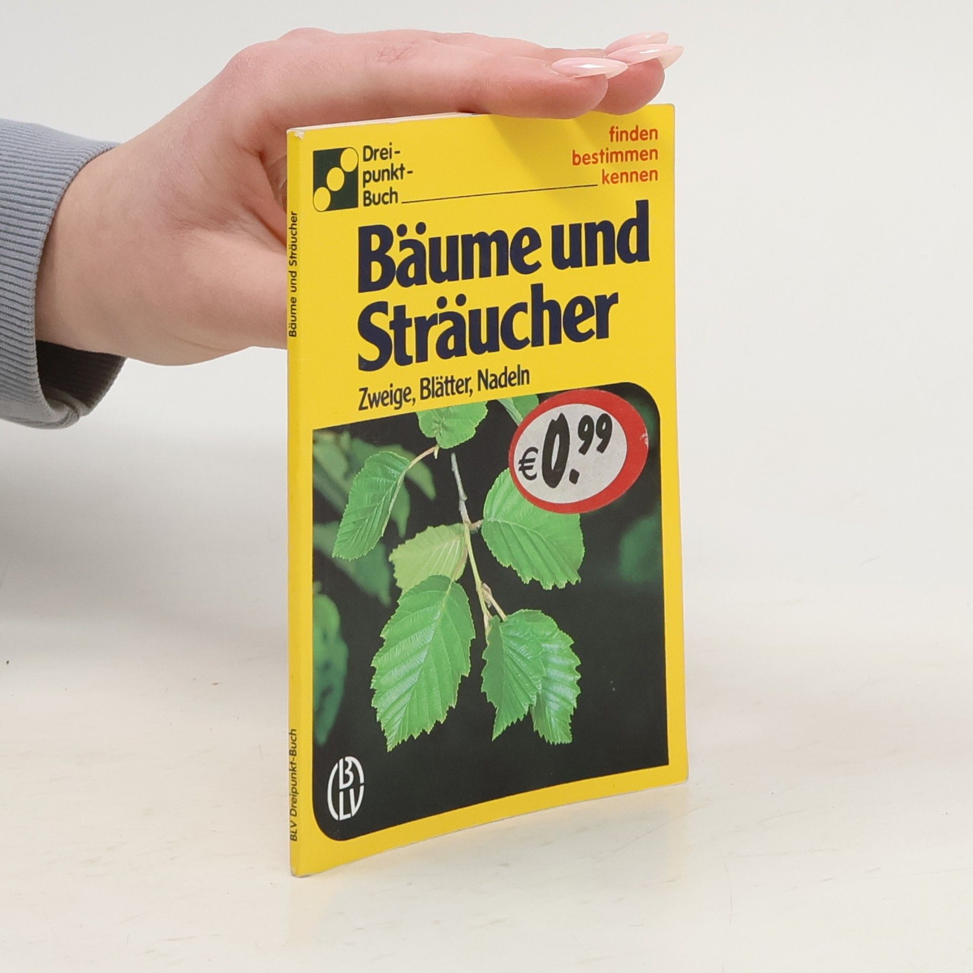 Autorenkollektiv Bäume und Sträucher
