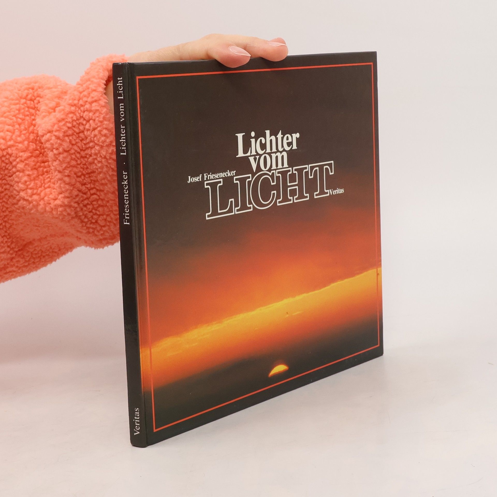 Josef Friesenecker Lichter vom Licht