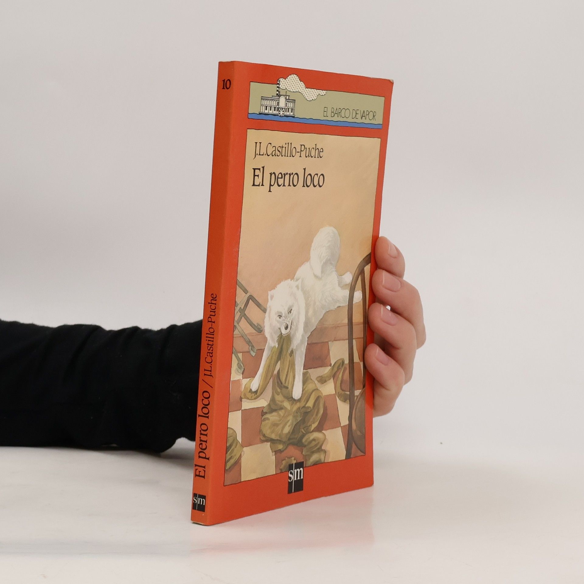 José Luis Castillo Puche El perro loco