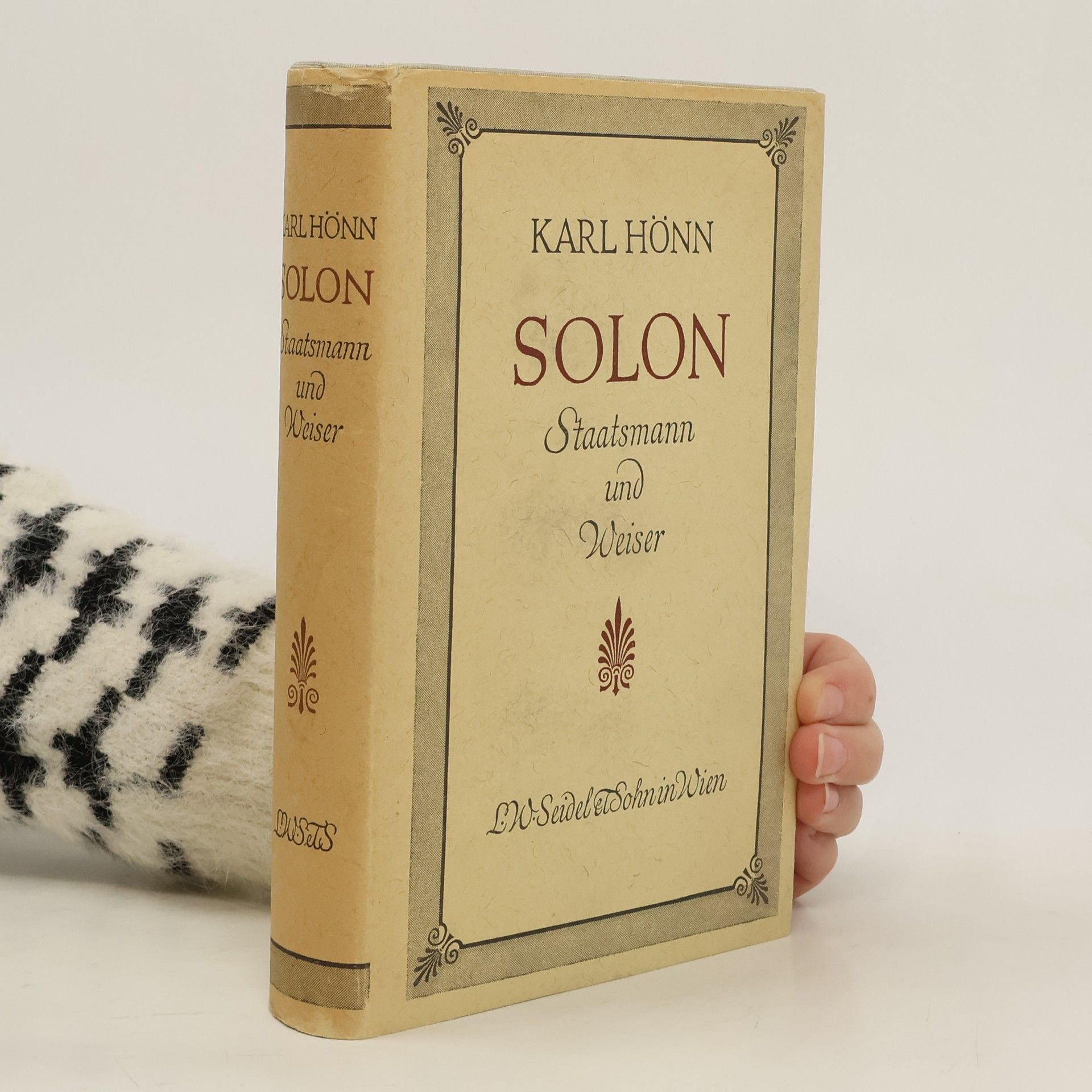 Solon. Staatsmann und Weiser