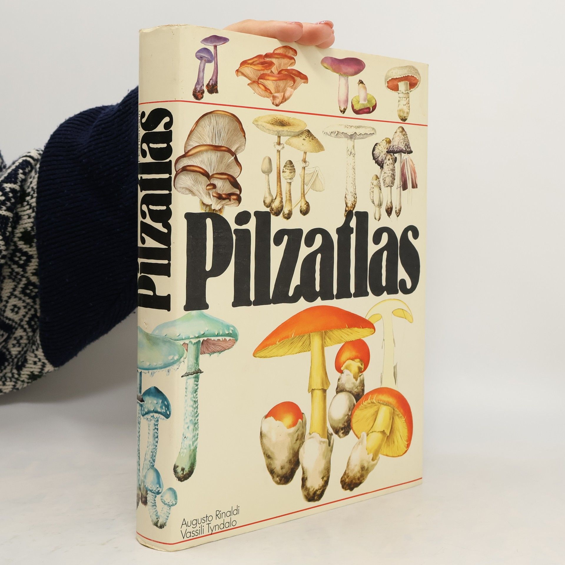 Augusto Rinaldi Pilzatlas