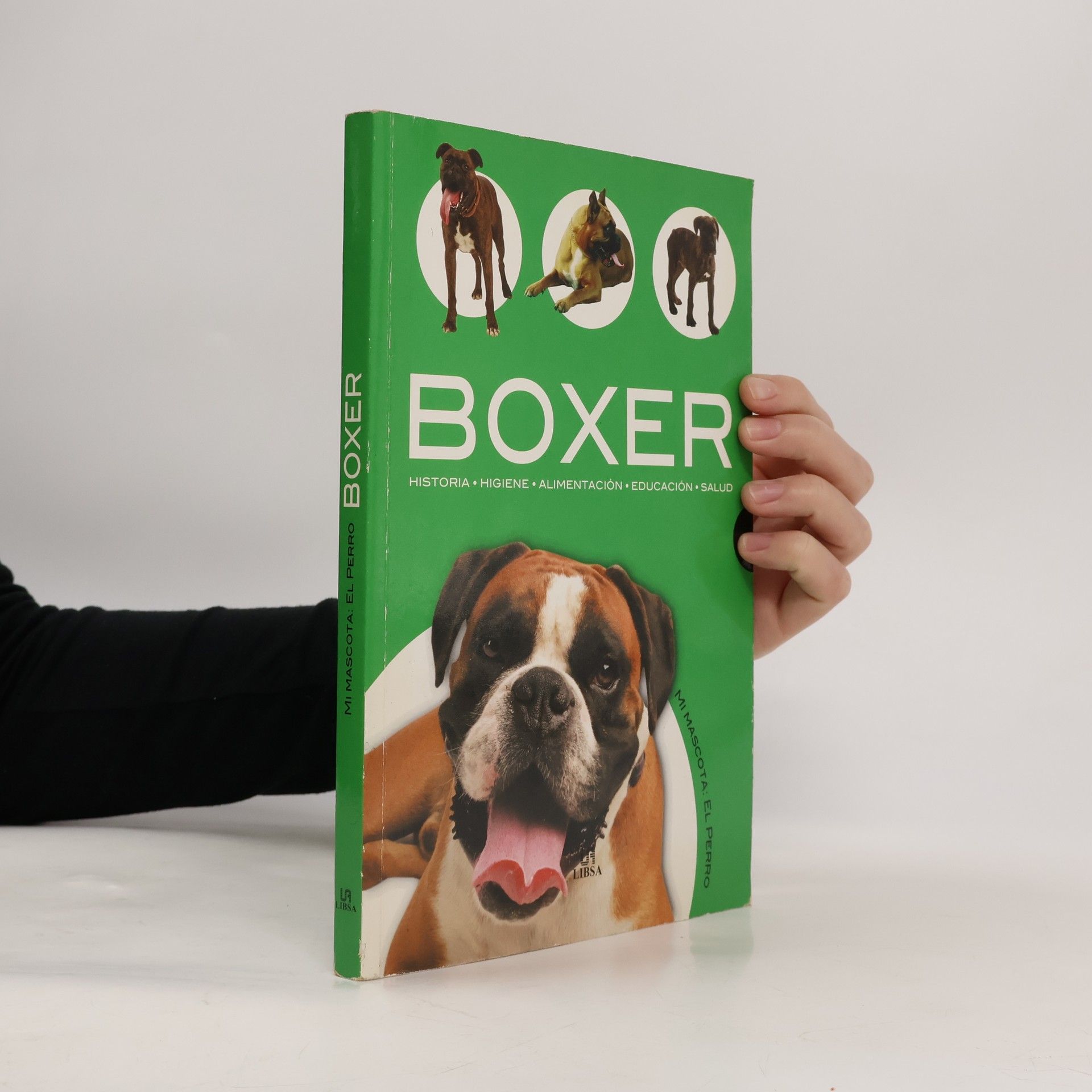Javier Villahizan Mi mascota: El perro: Boxer