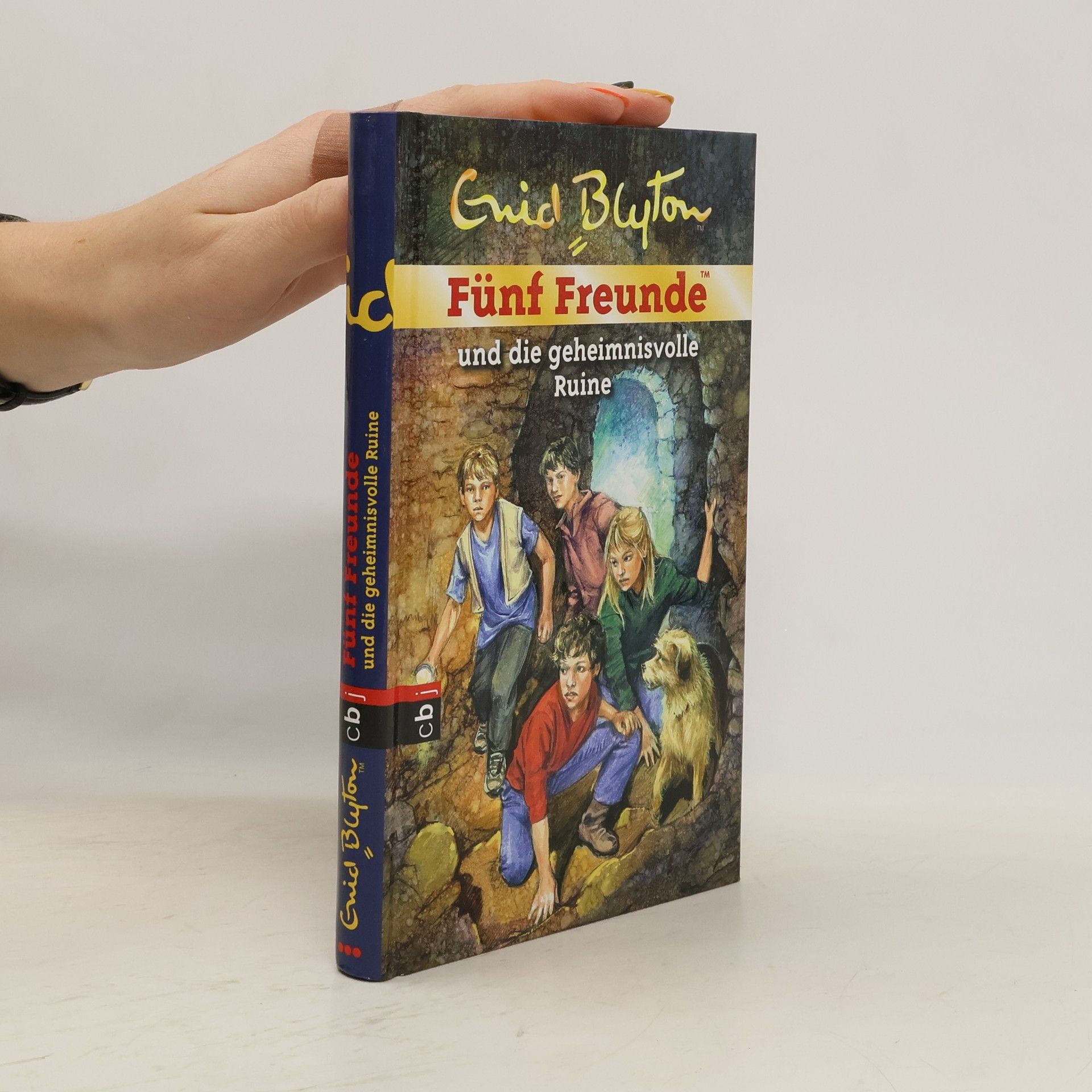 Sarah Bosse Fünf Freunde und die geheimnisvolle Ruine