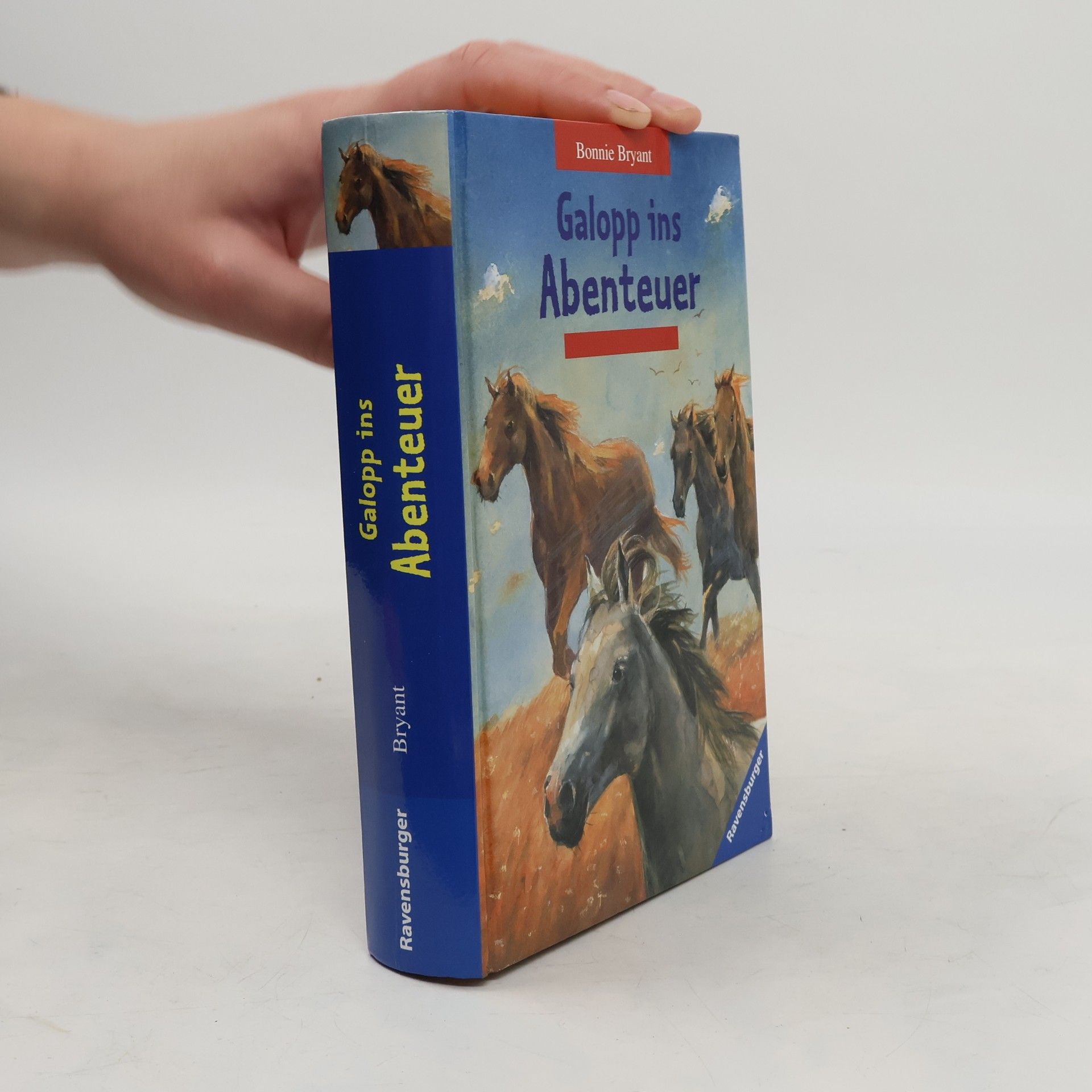 Bonnie Bryant Galopp ins Abenteuer