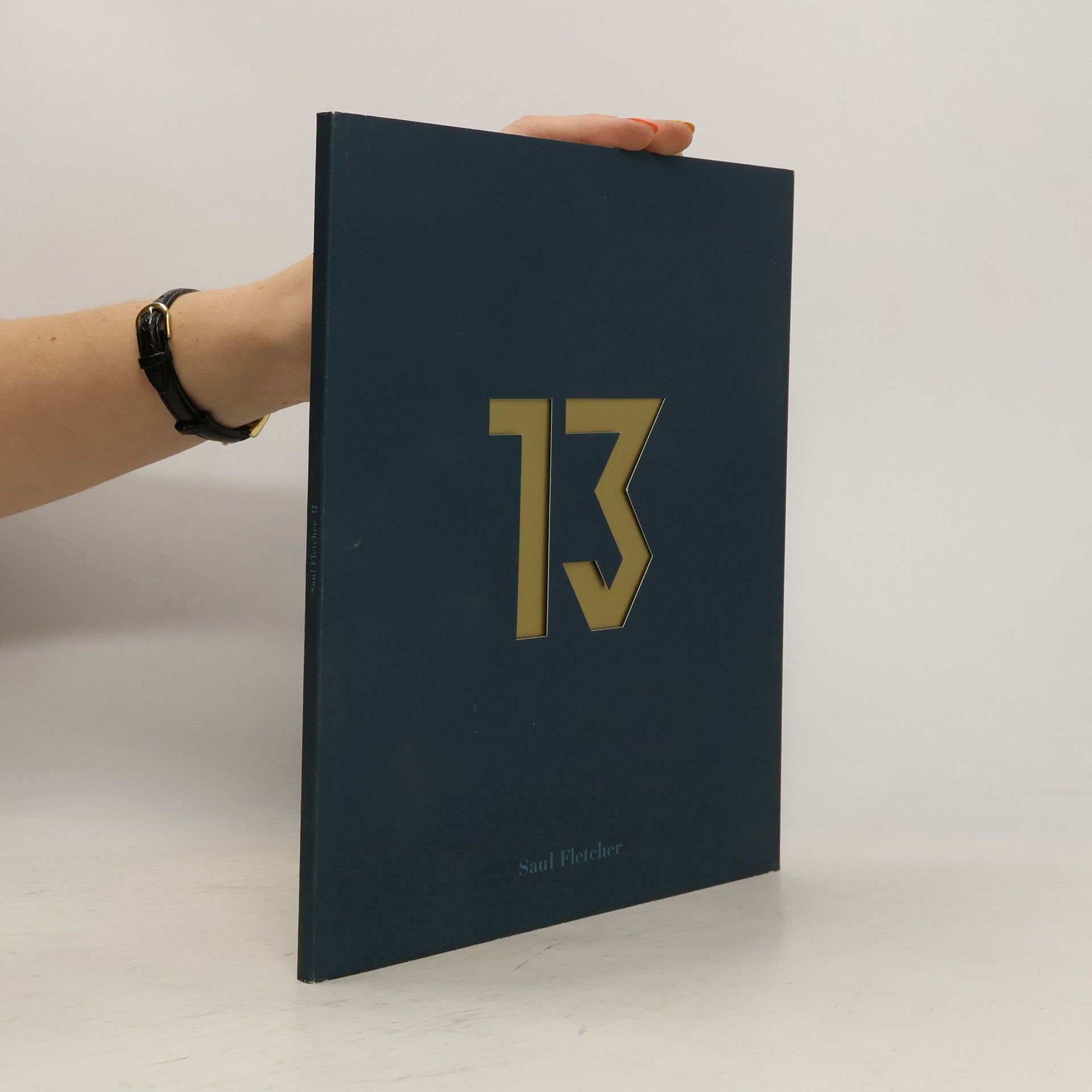 Kolektív autorov Saul Fletcher