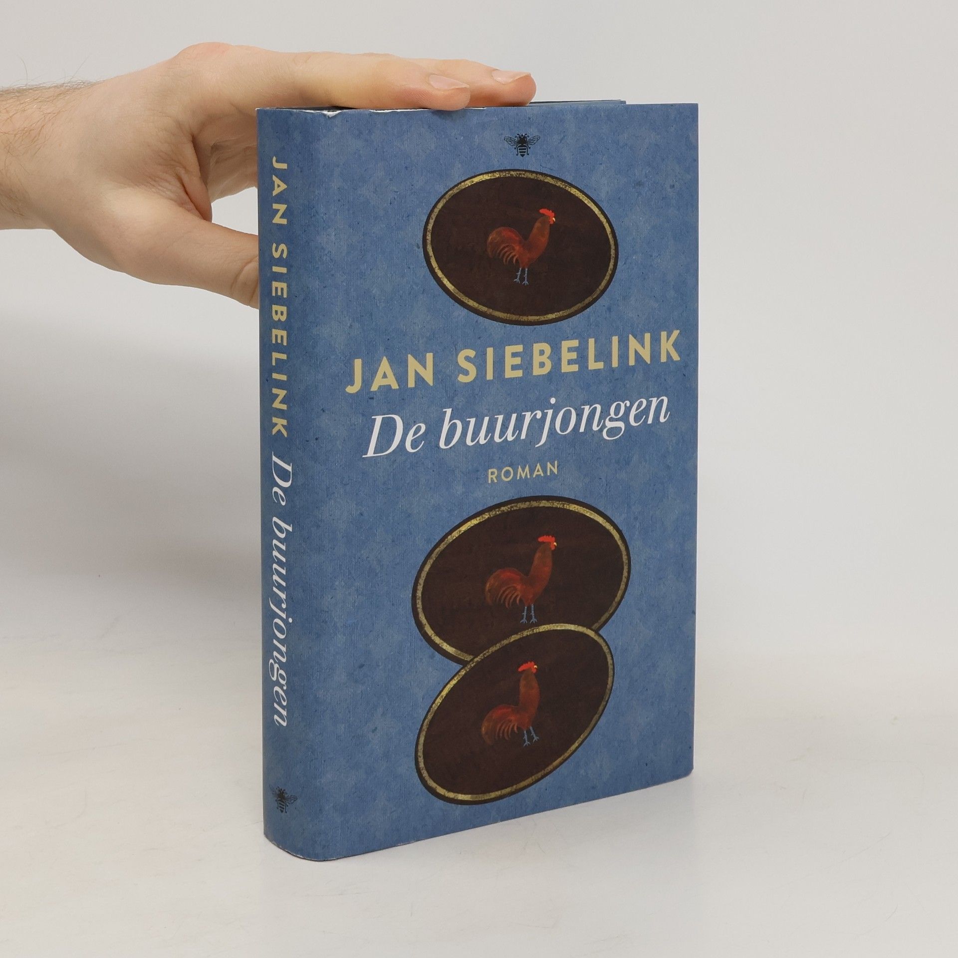 Jan Geurt Siebelink De buurjongen