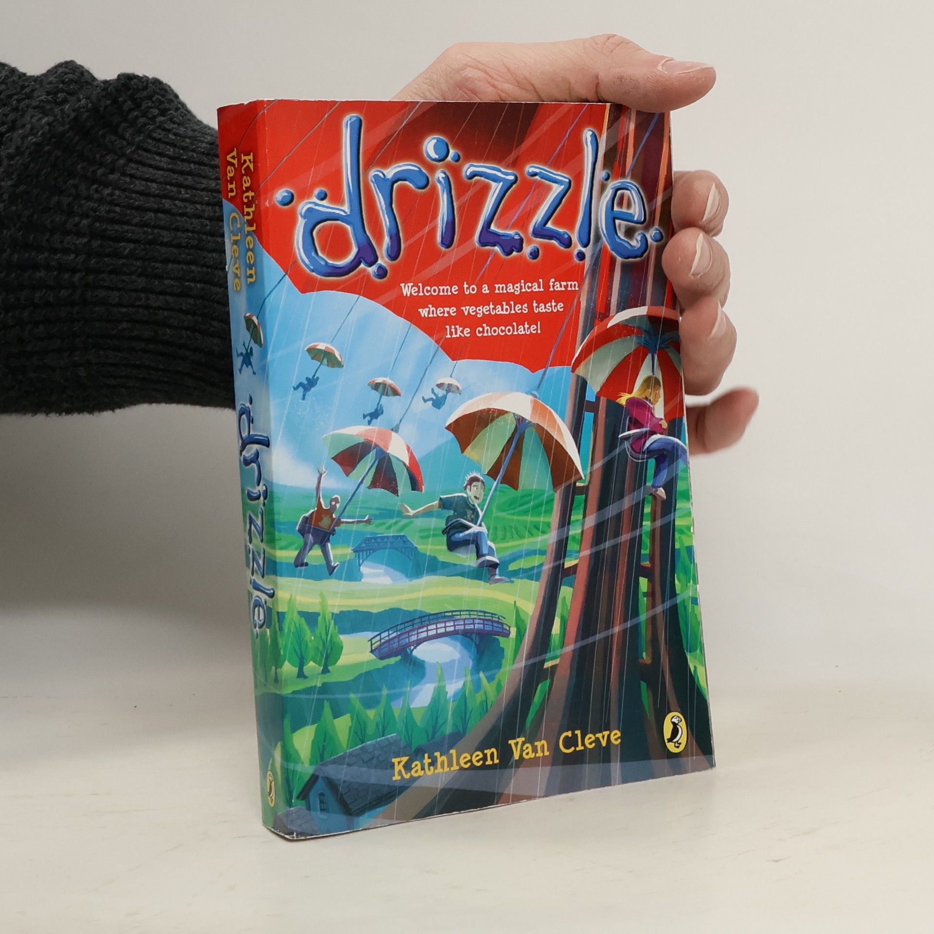 Kathleen Van Cleve Drizzle