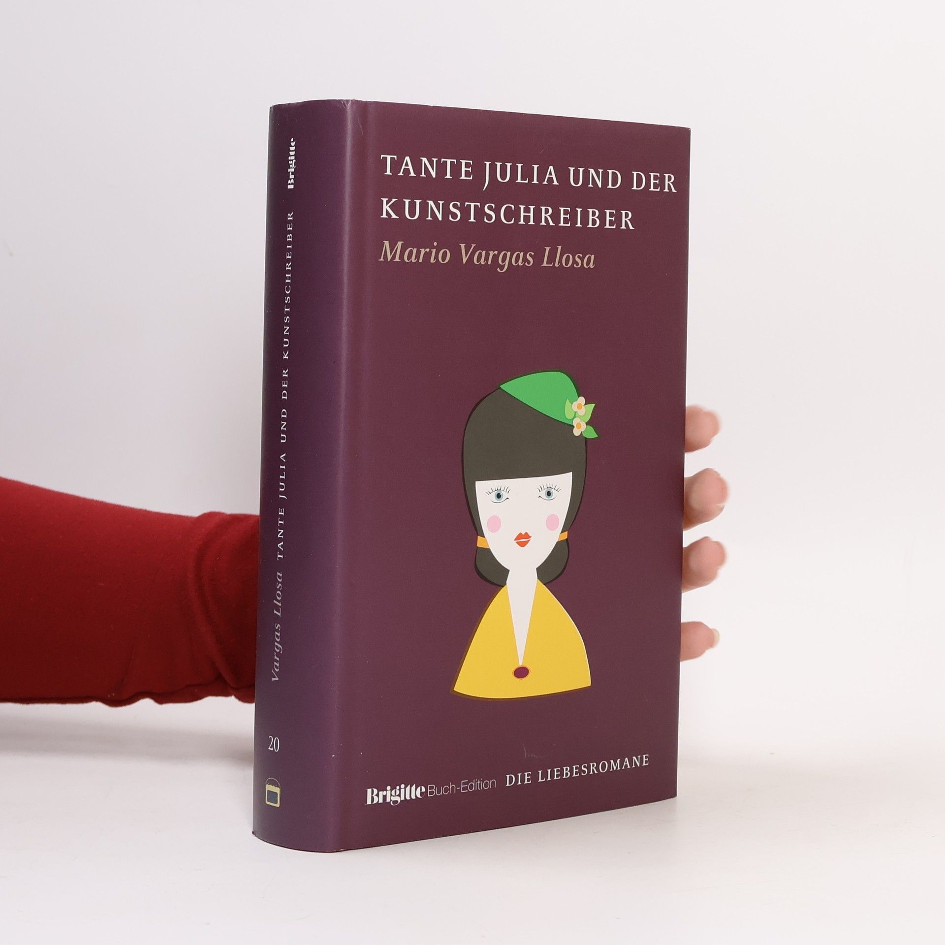 Mario Vargas Llosa Tante Julia und der Kunstschreiber