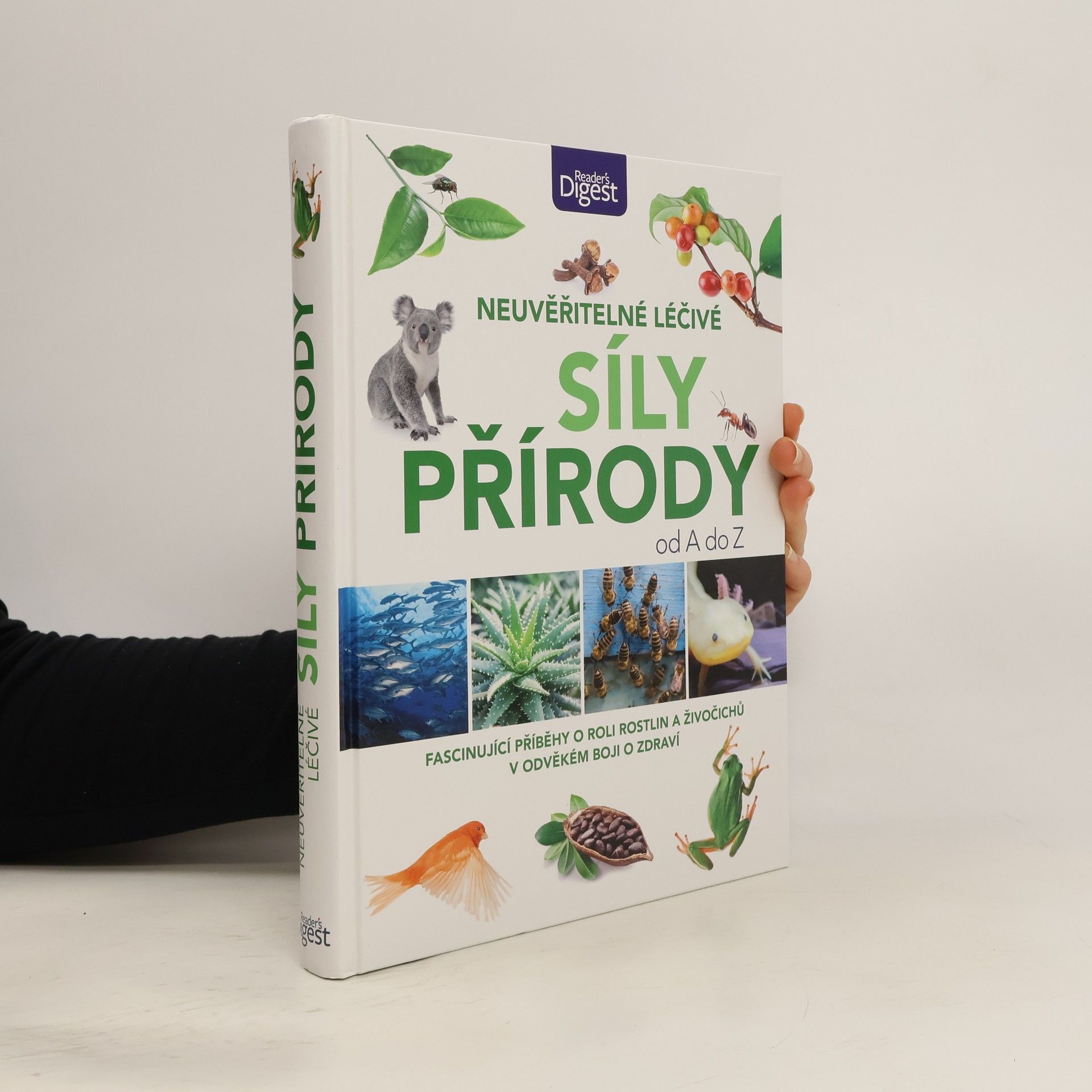 Autorenkollektiv Neuvěřitelné léčivé síly přírody od A do Z