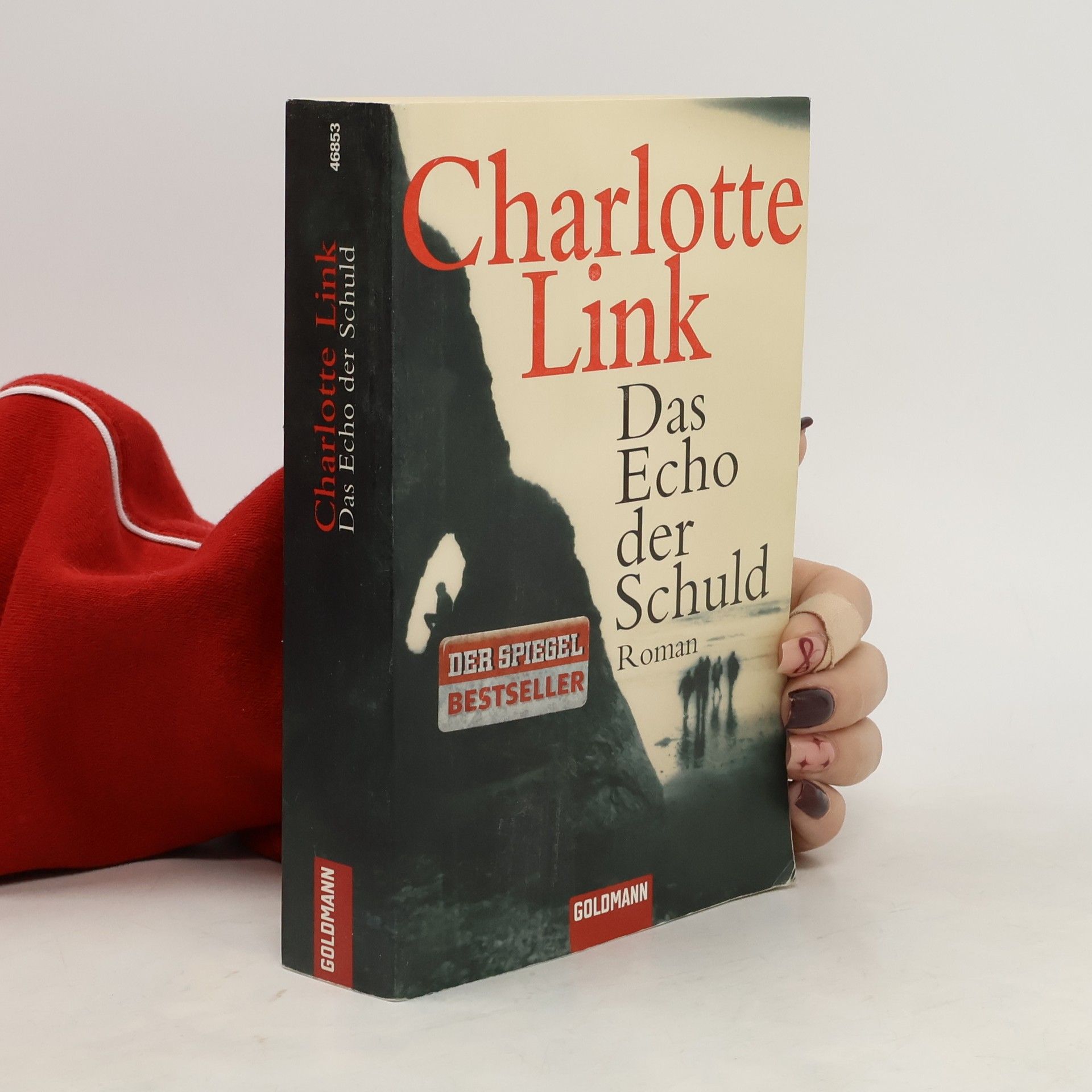 Charlotte Link Das Echo der Schuld