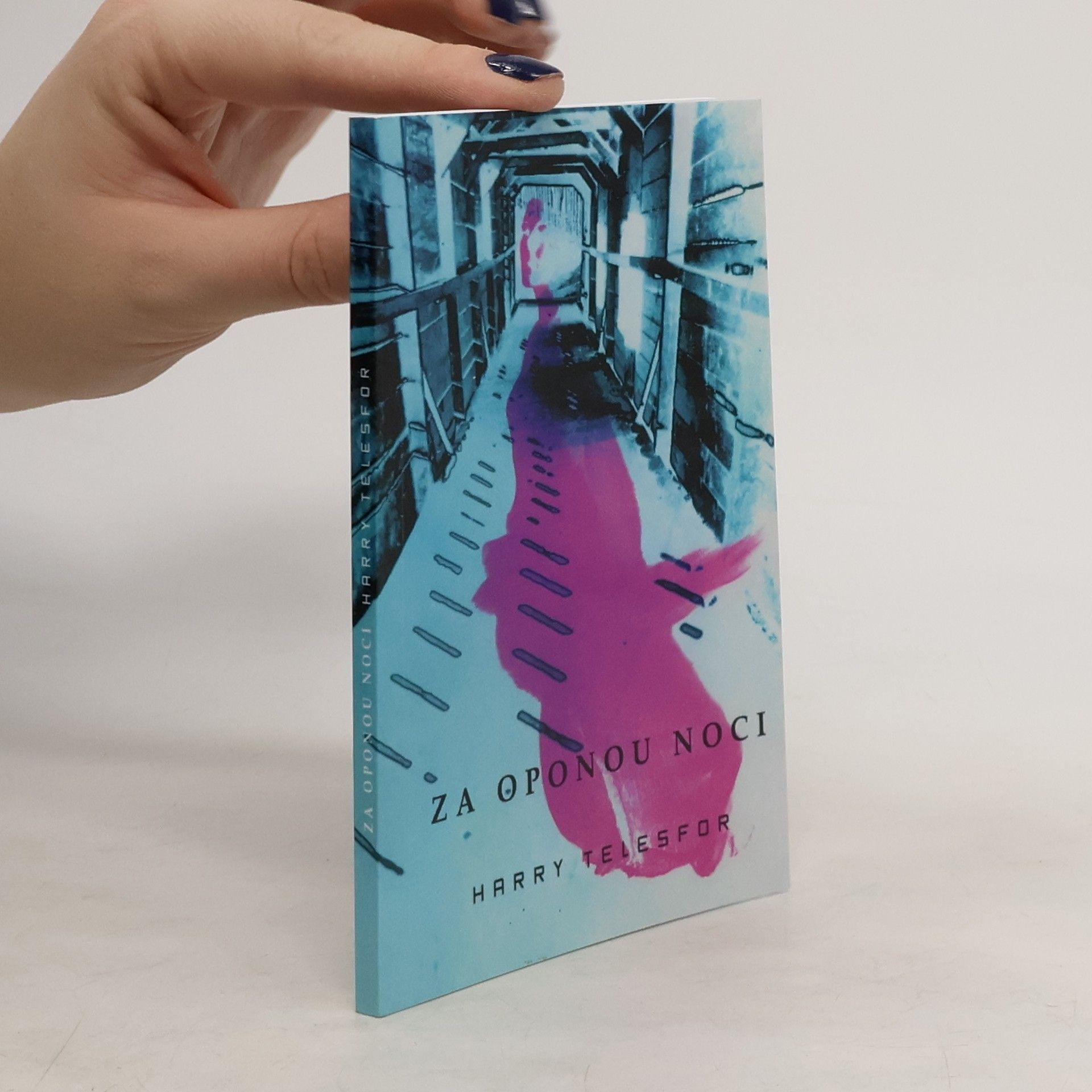 Dalibor Stach Za oponou noci