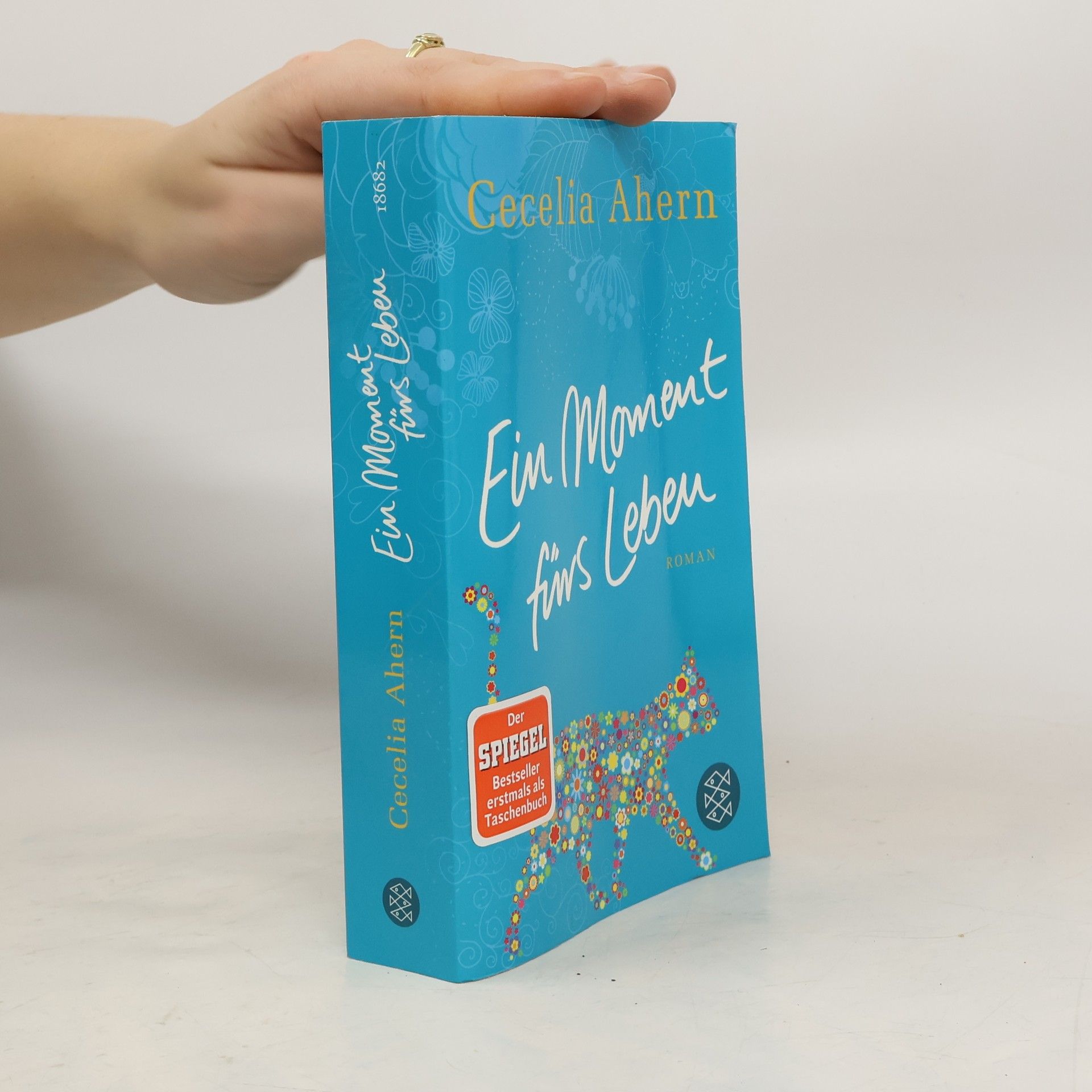 Cecelia Ahern Ein Moment fürs Leben