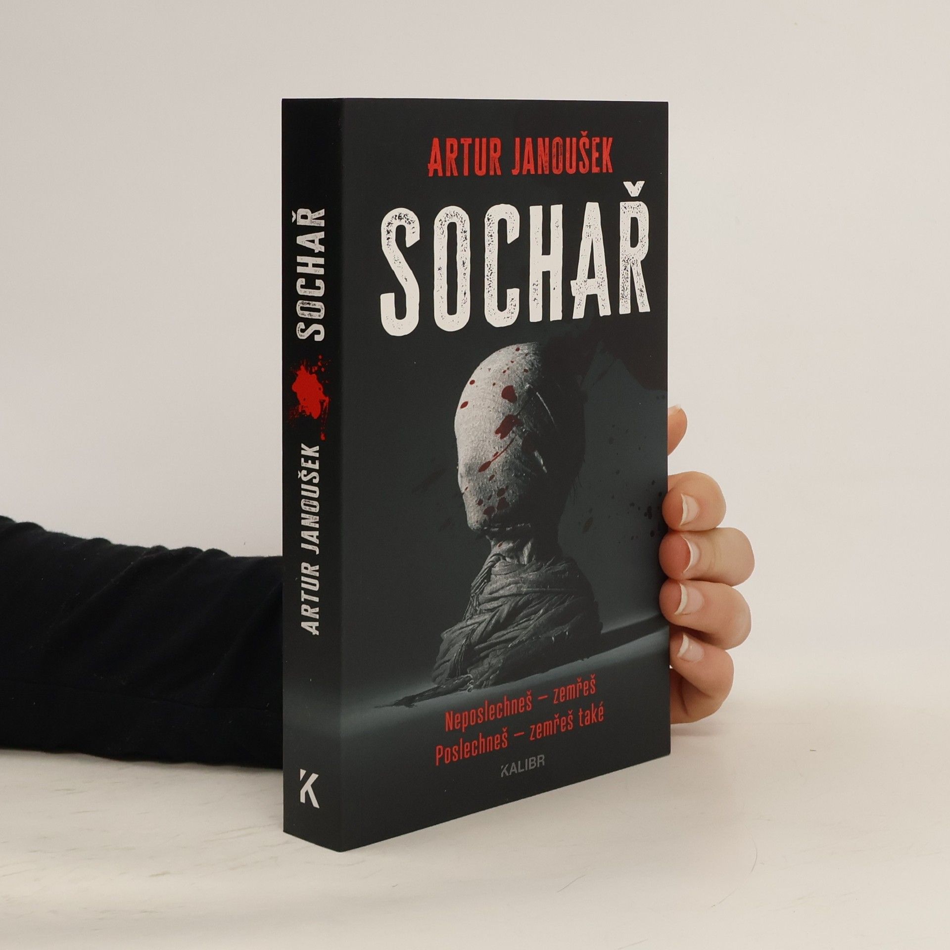 Artur Janoušek Sochař