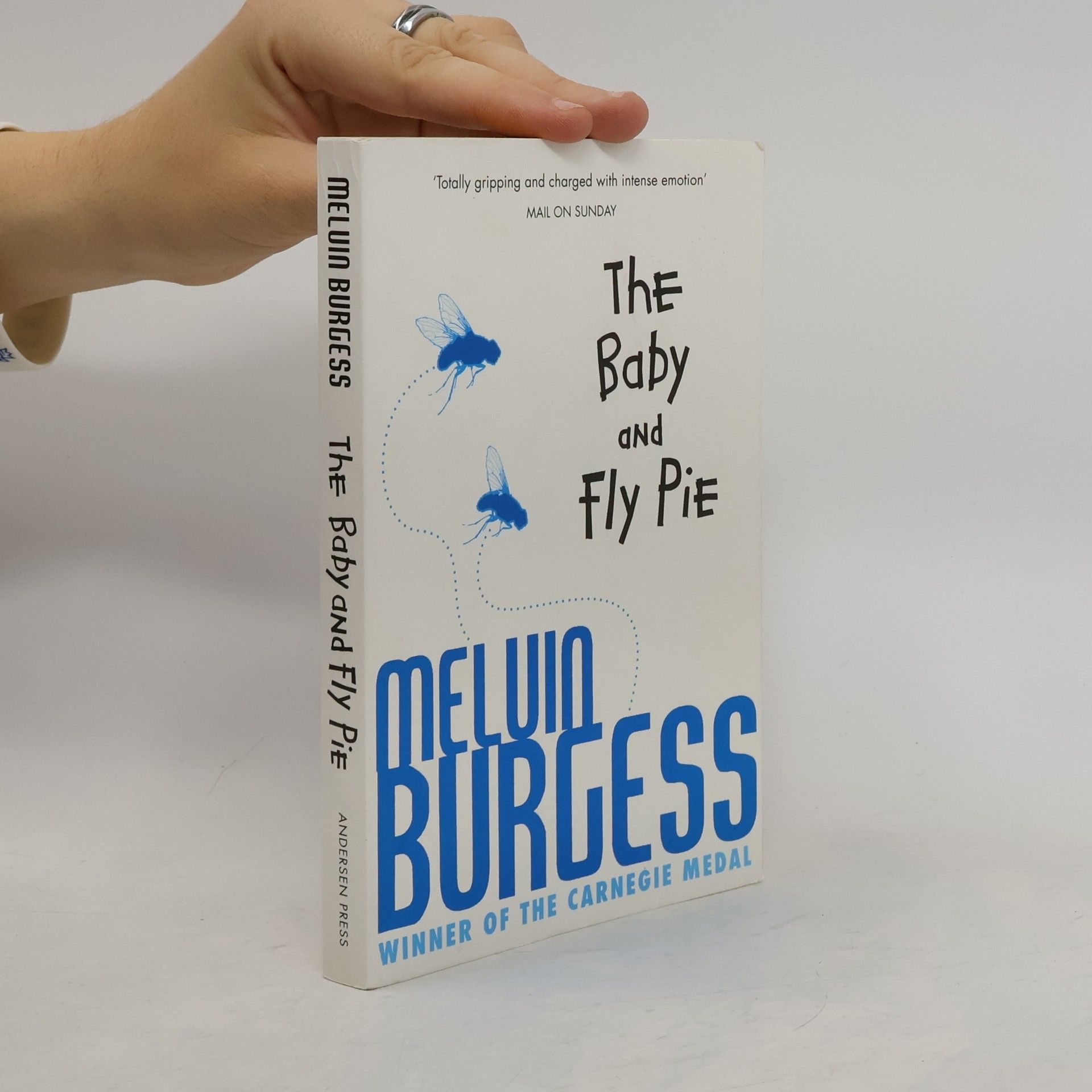 Melvin Burgess The Baby and Fly Pie