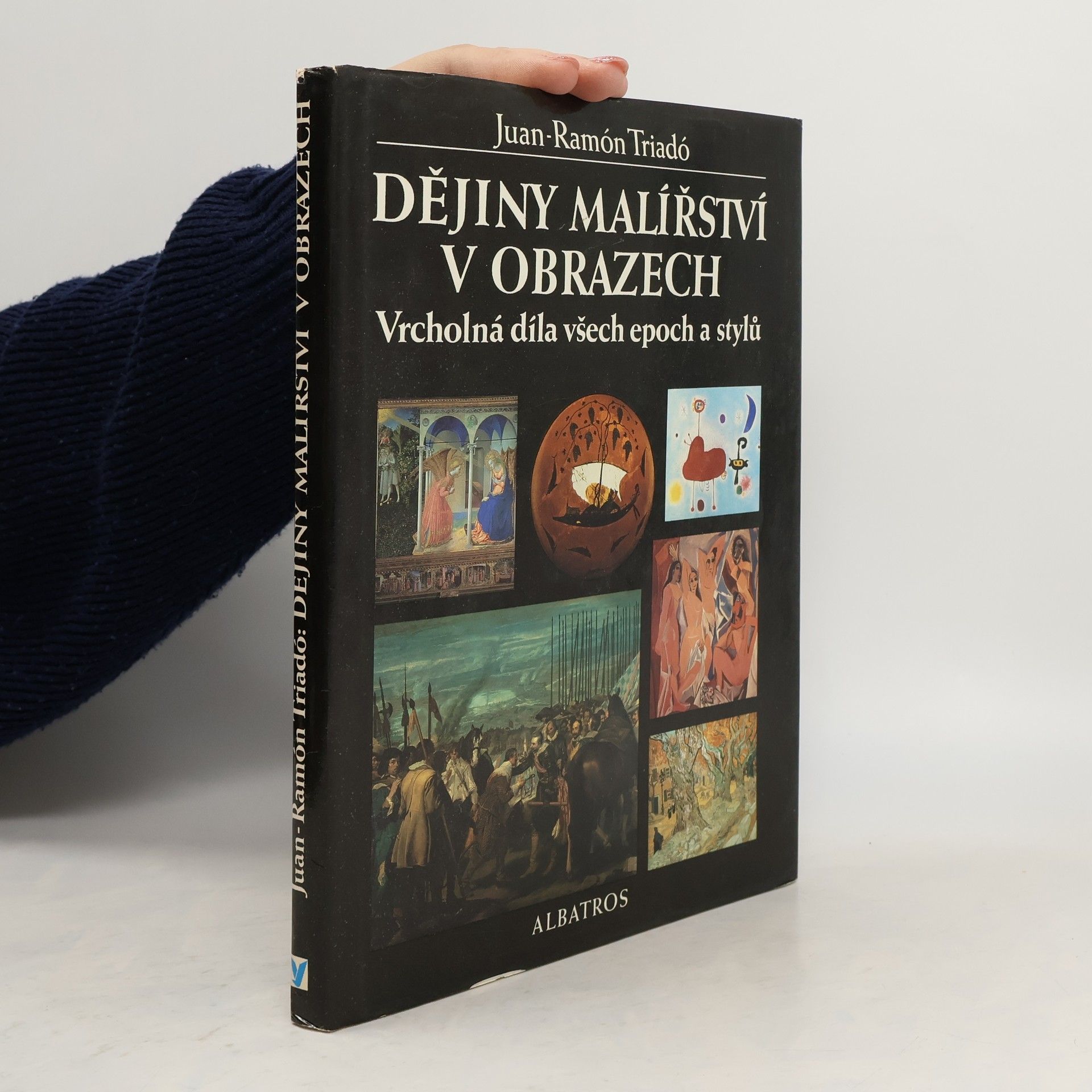 Dějiny malířství v obrazech : vrcholná díla všech epoch a stylů