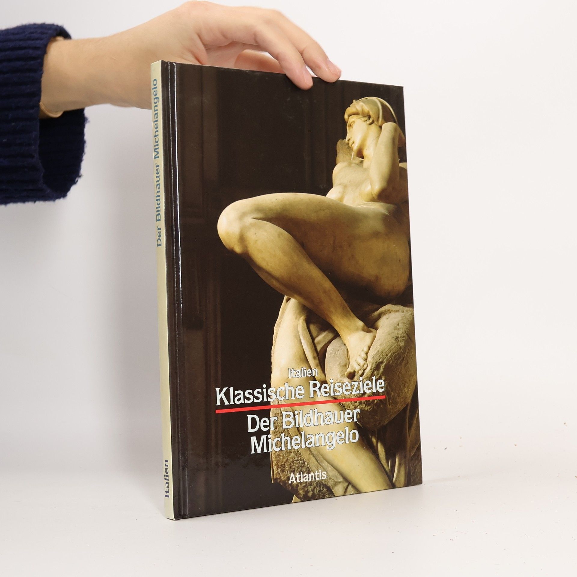 Michelangelo Der Bildhauer Michelangelo