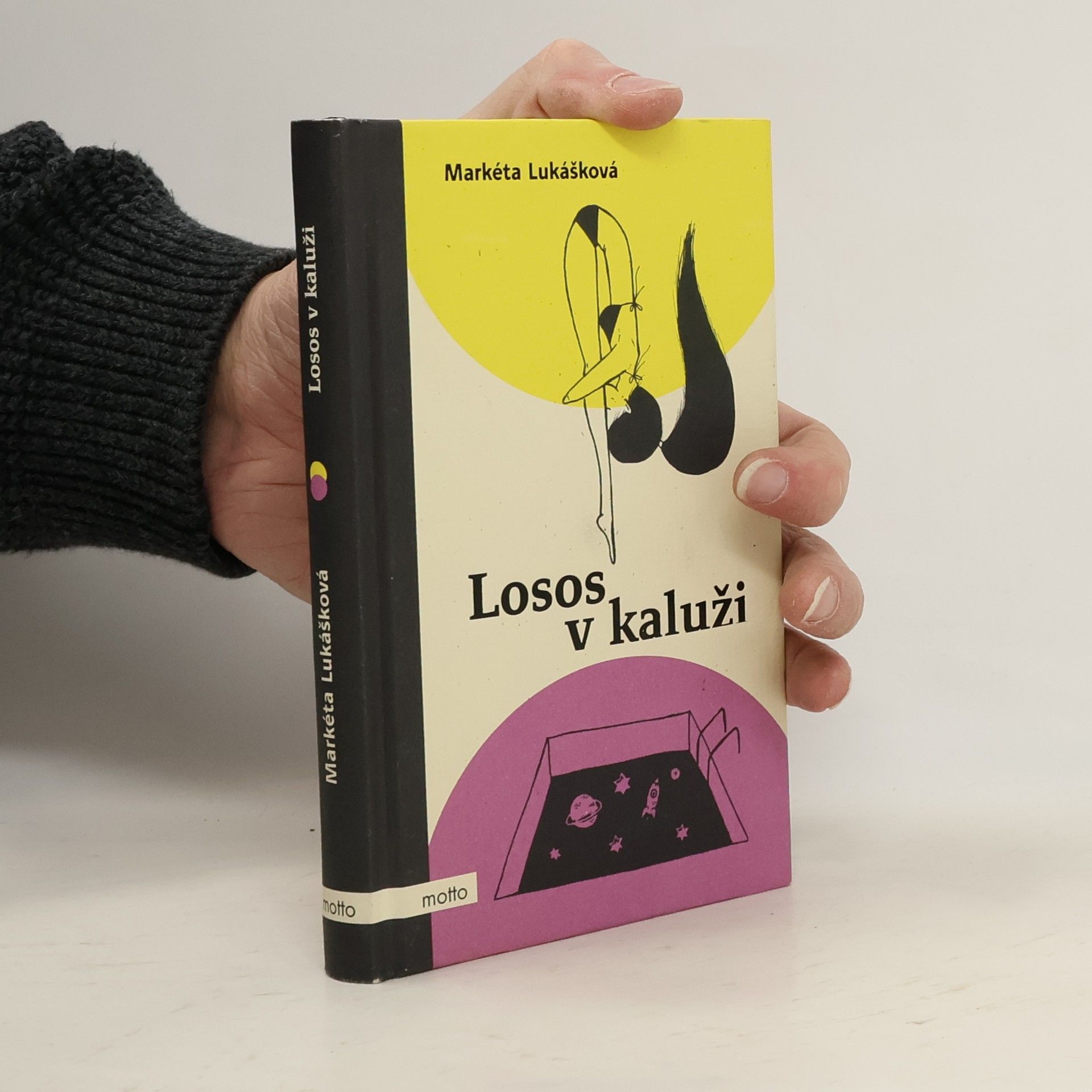 Markéta Lukášková Losos v kaluži