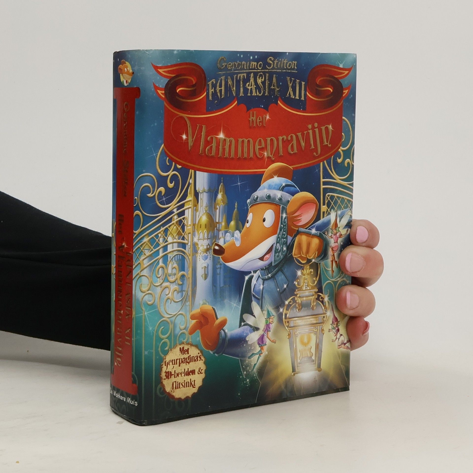 Fantasia - 12: Het Vlammenravijn