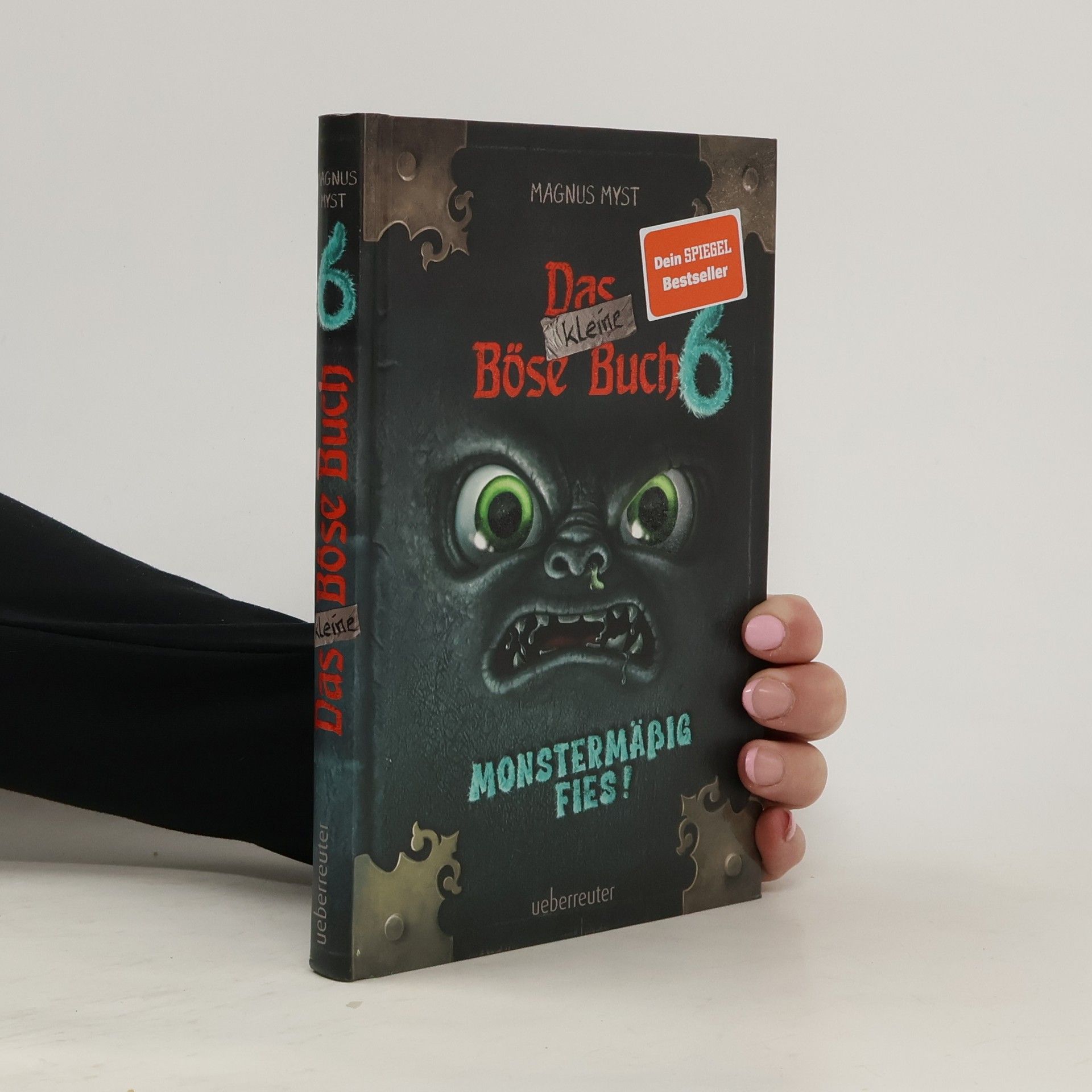 Das kleine Böse Buch 6 (Das kleine Böse Buch, Bd. 6)