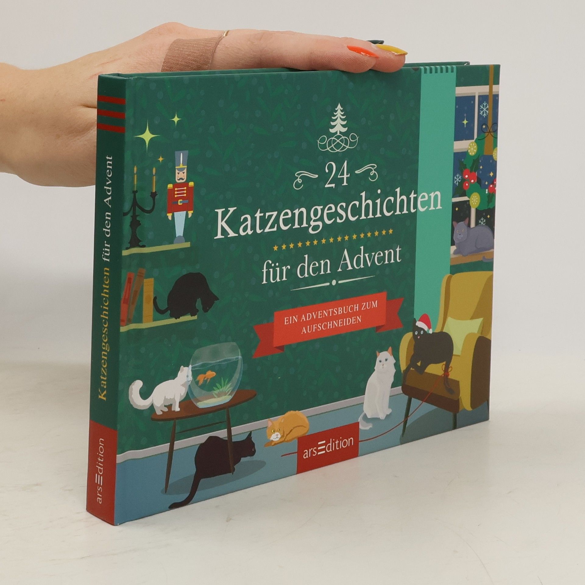 Collectif d'auteurs 24 Katzengeschichten für den Advent