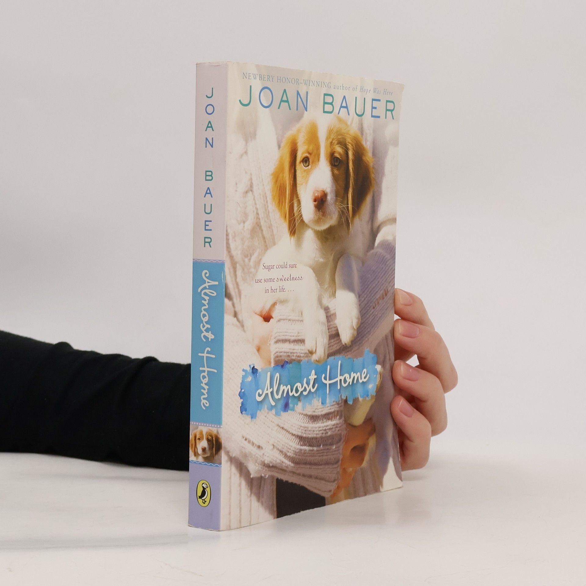 Joan Bauer Almost Home