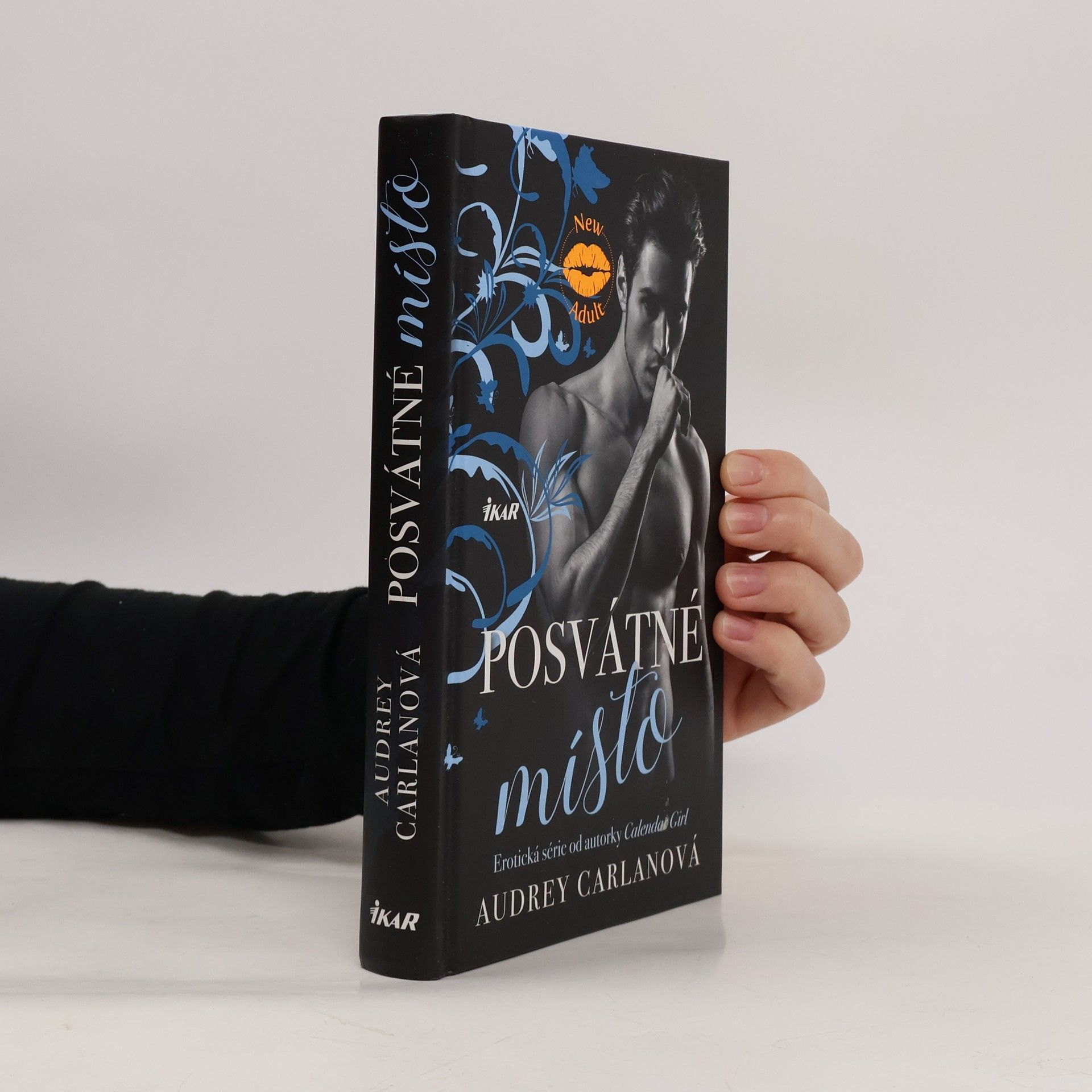 Audrey Carlan Posvátné místo