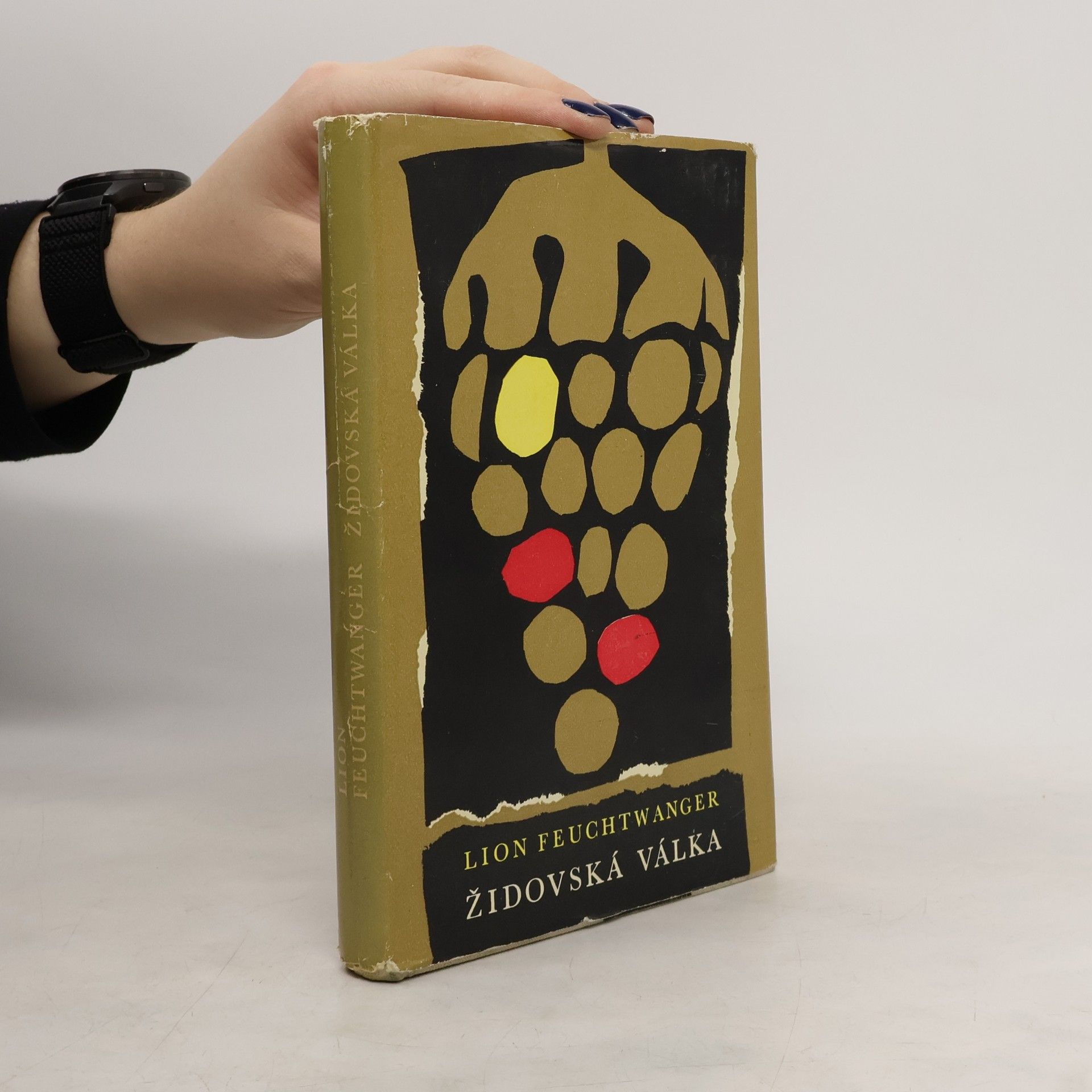 Lion Feuchtwanger Židovská válka