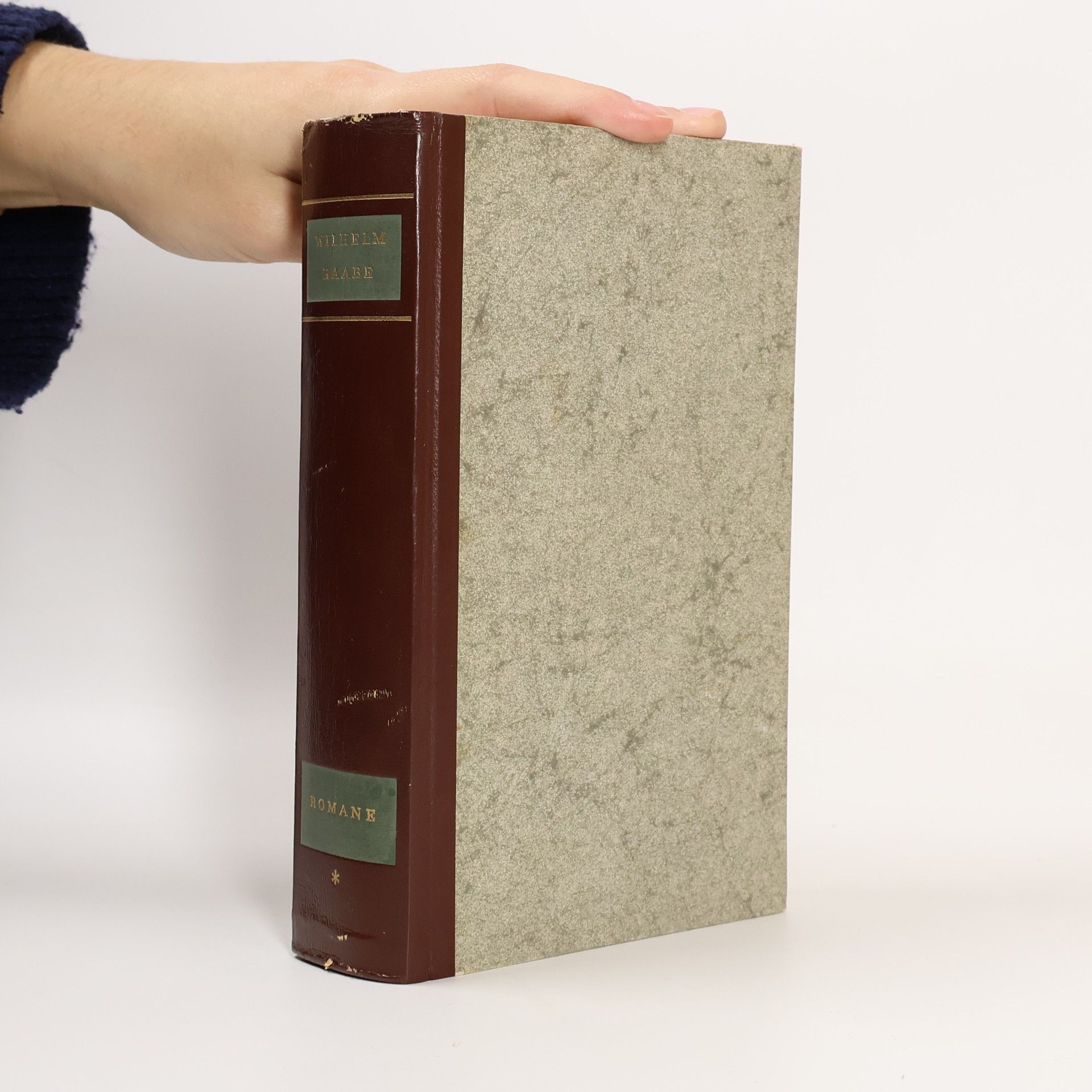 Wilhelm Raabe Gesammelte Romane I