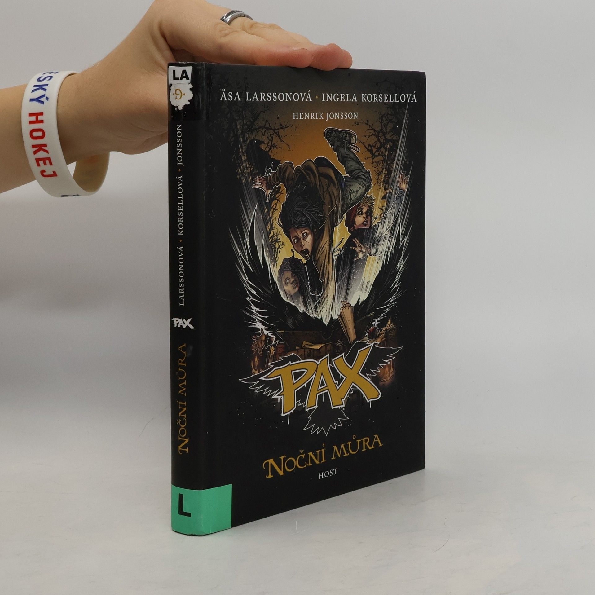 Åsa Larsson Noční můra