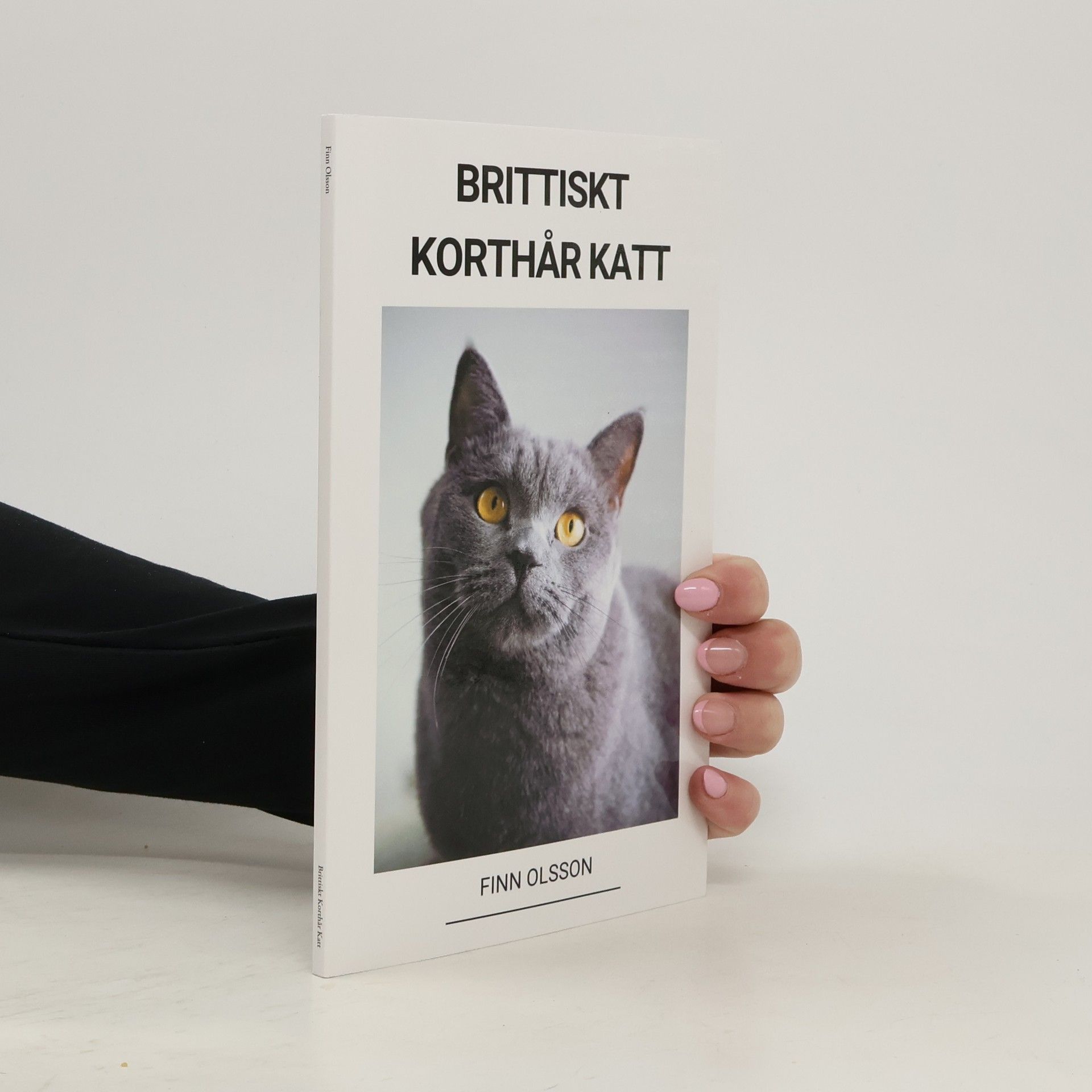 Finn Olsson Brittiskt Korthår Katt