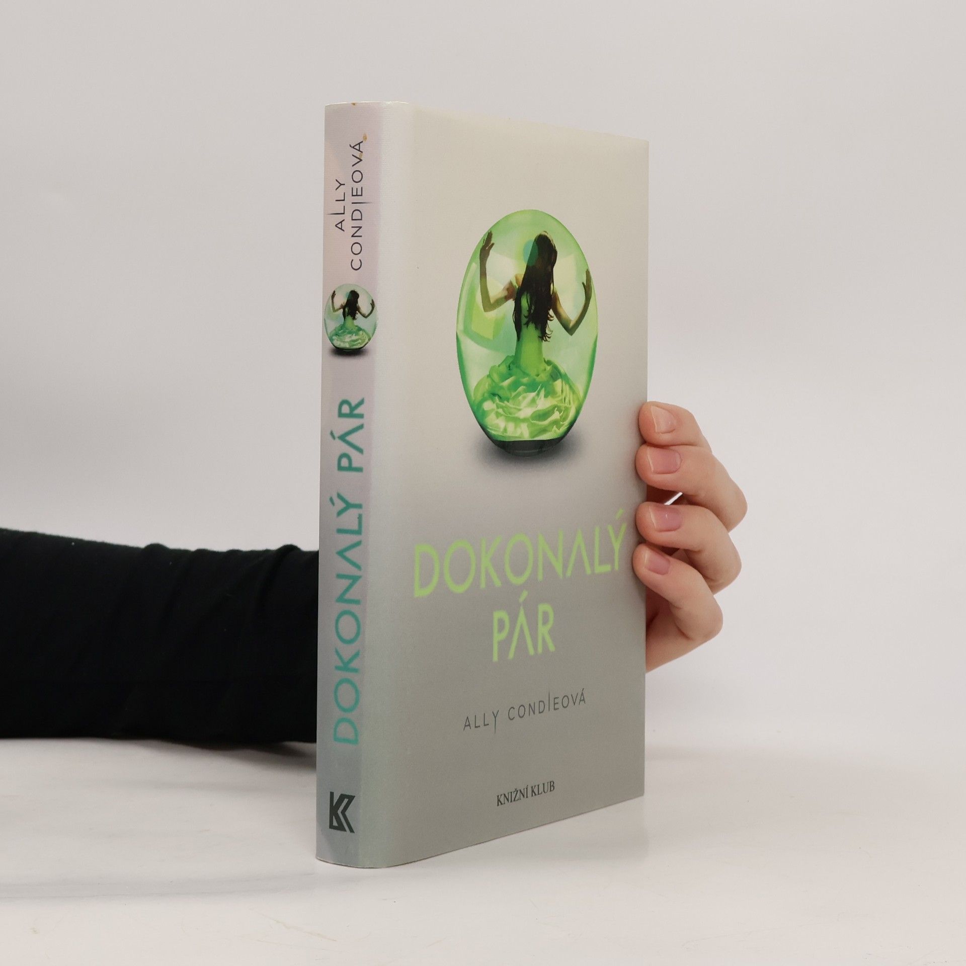 Allyson Braithwaite Condie Dokonalý pár