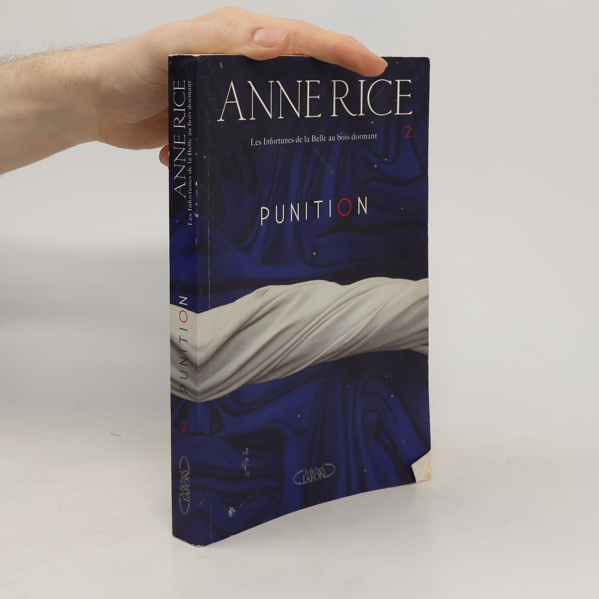 Adrien Calmevent Les Infortunes de la Belle au bois dormant - 2: Punition