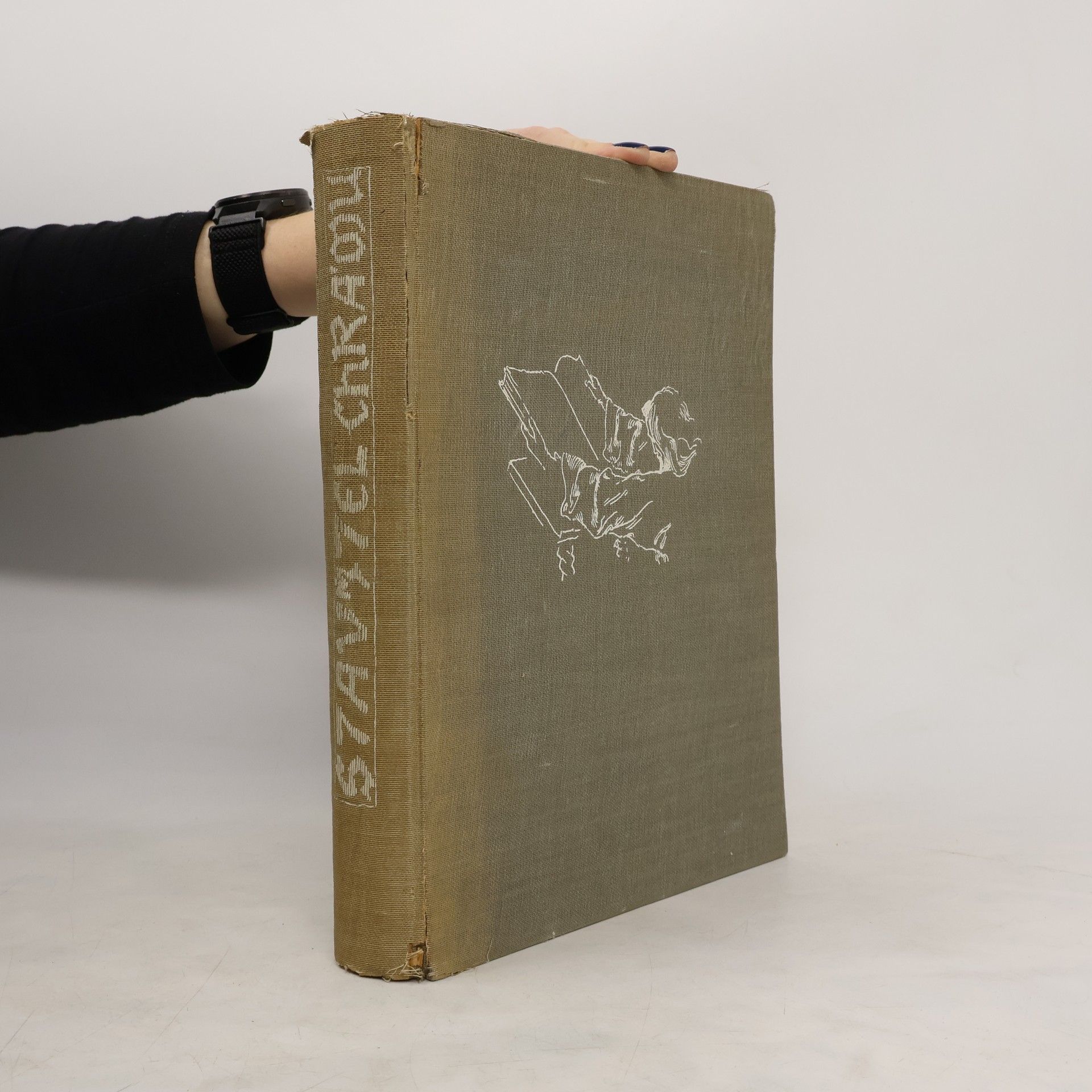 Dobroslav Milan Pavlíček Stavitel chrámu. Památník básníka myslitele Otokara Březiny