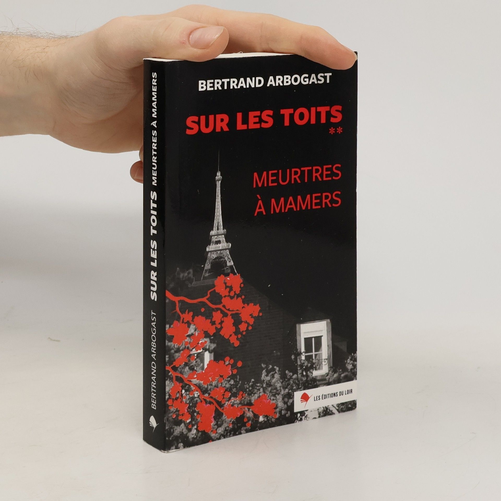 Bertrand Arbogast Sur les toits