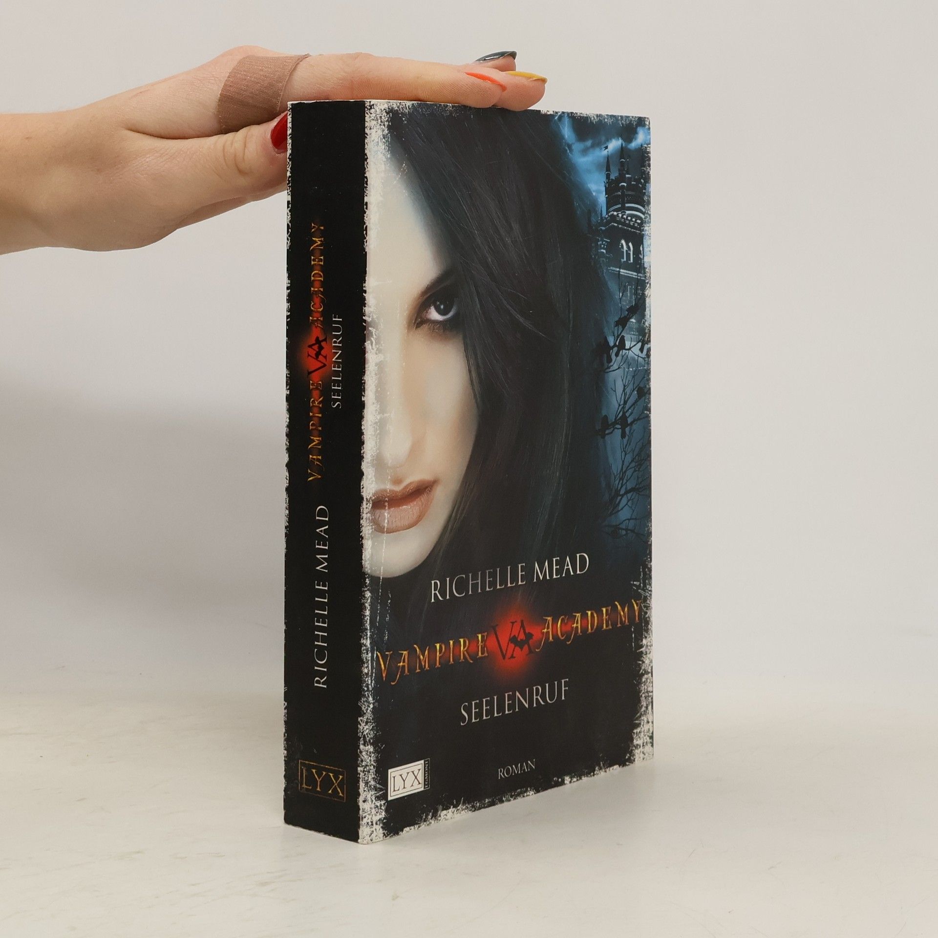 Richelle Mead Vampire Academy. Seelenruf