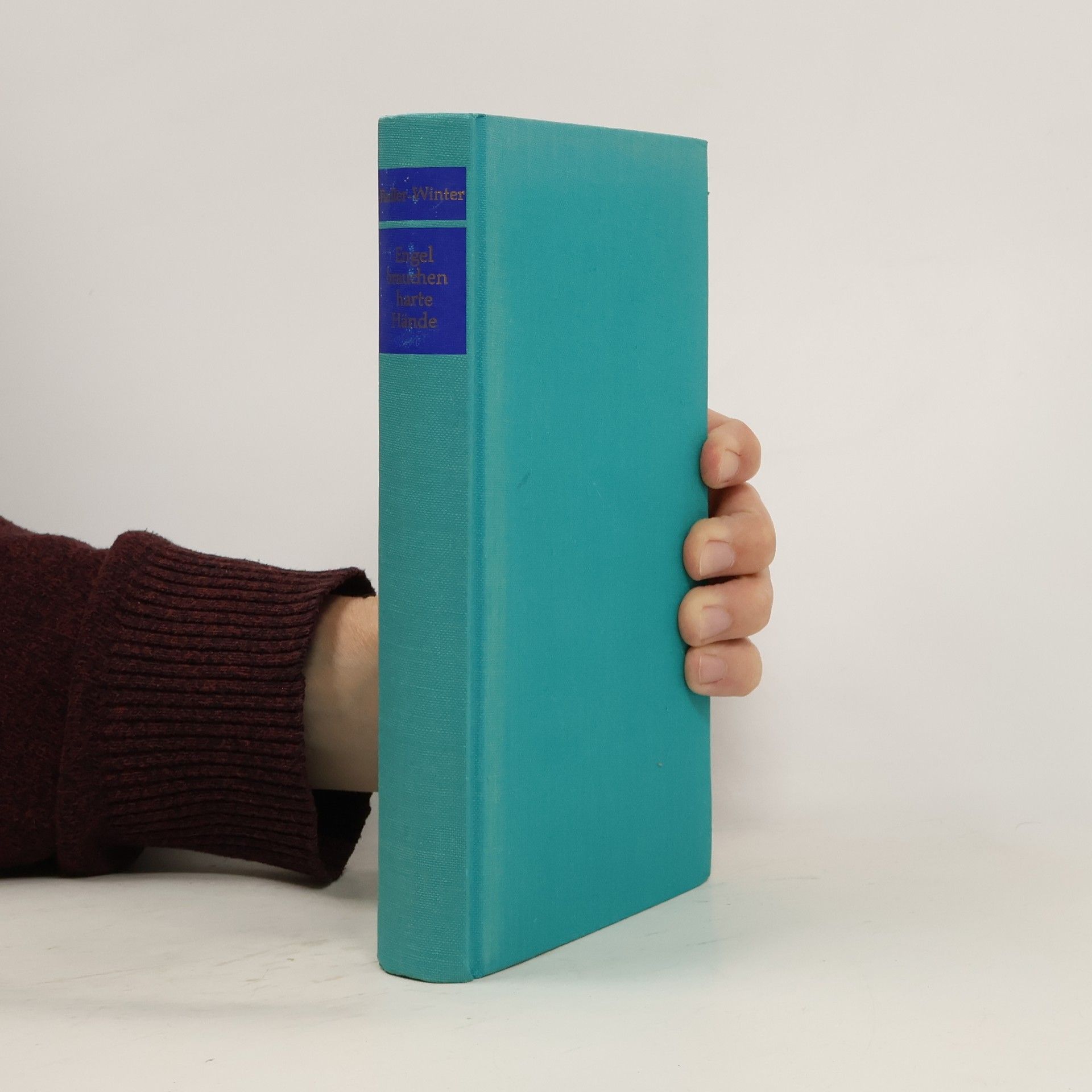Rosemarie Fiedler Winter Engel brauchen harte Hände