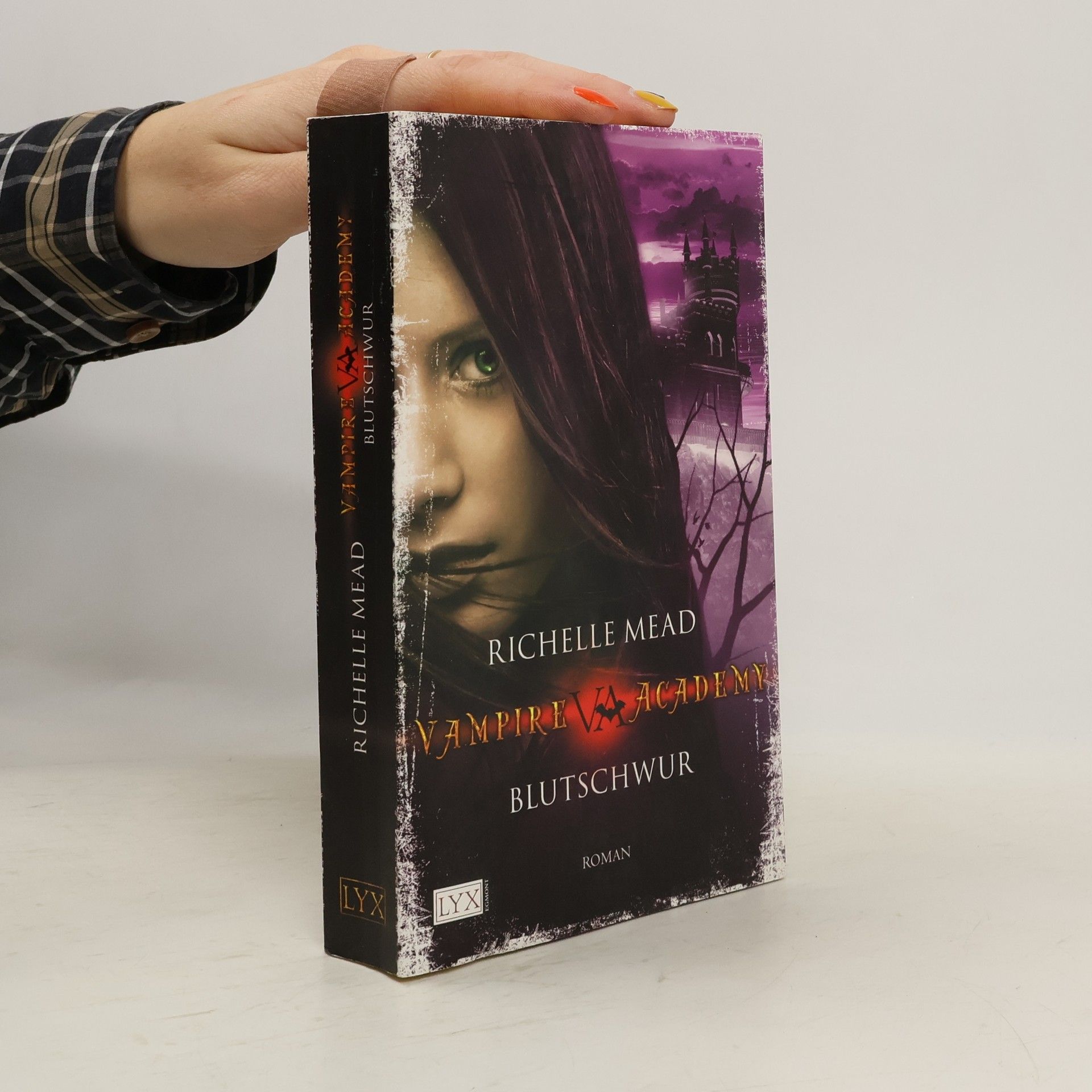 Richelle Mead Vampire Academy. Blutschwur