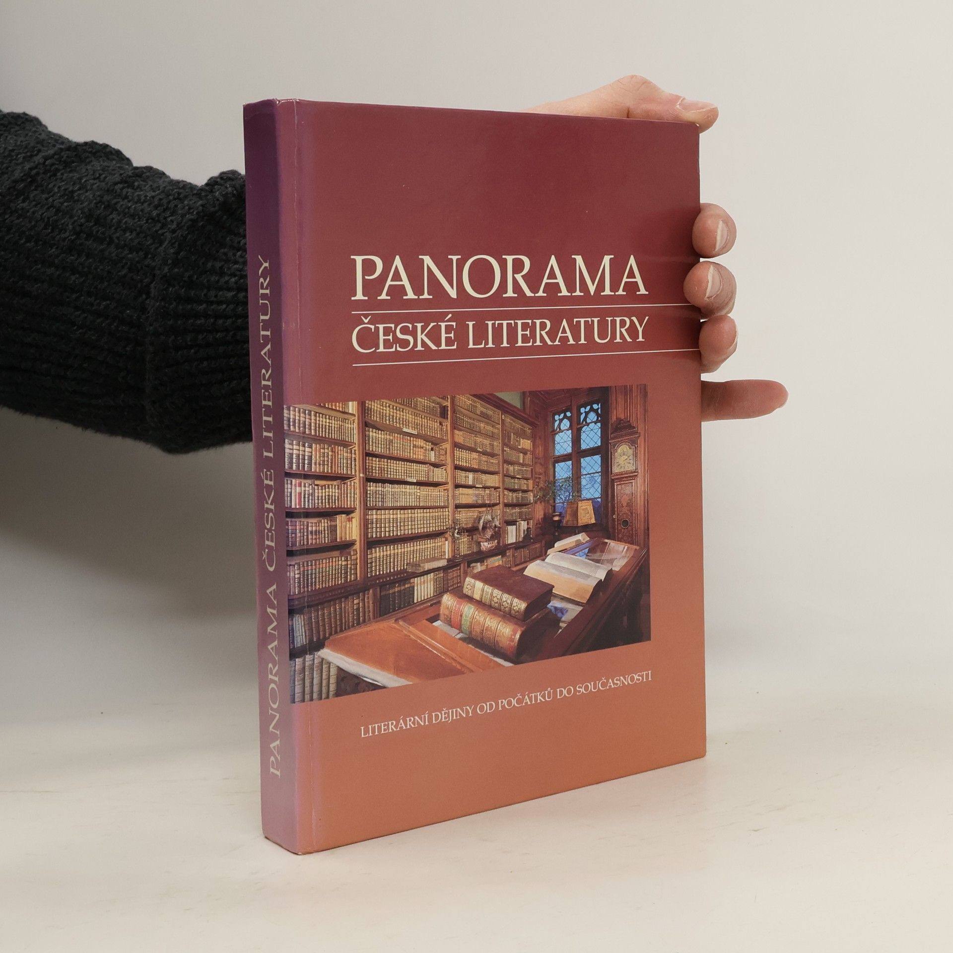 Kolektiv autorů Panorama české literatury. Literární dějiny od počátků do současnosti
