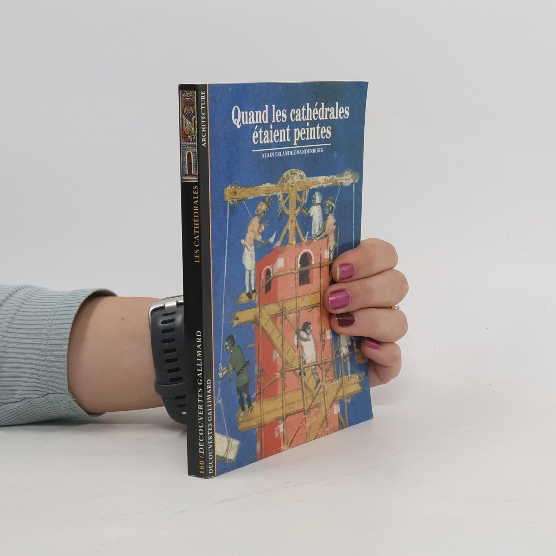 Alain Erlande-Brandenburg Quand les cathédrales étaient peintes