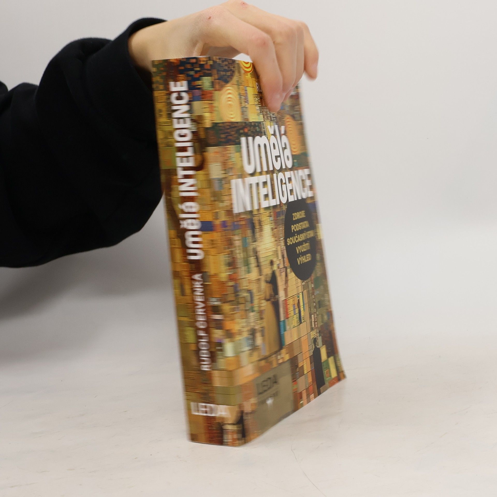 Rudolf Červenka Umělá inteligence