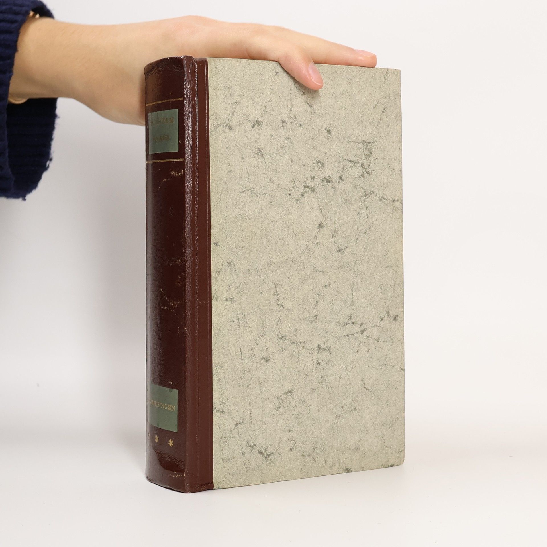 Kolektív autorov Die Schwarze Galeere