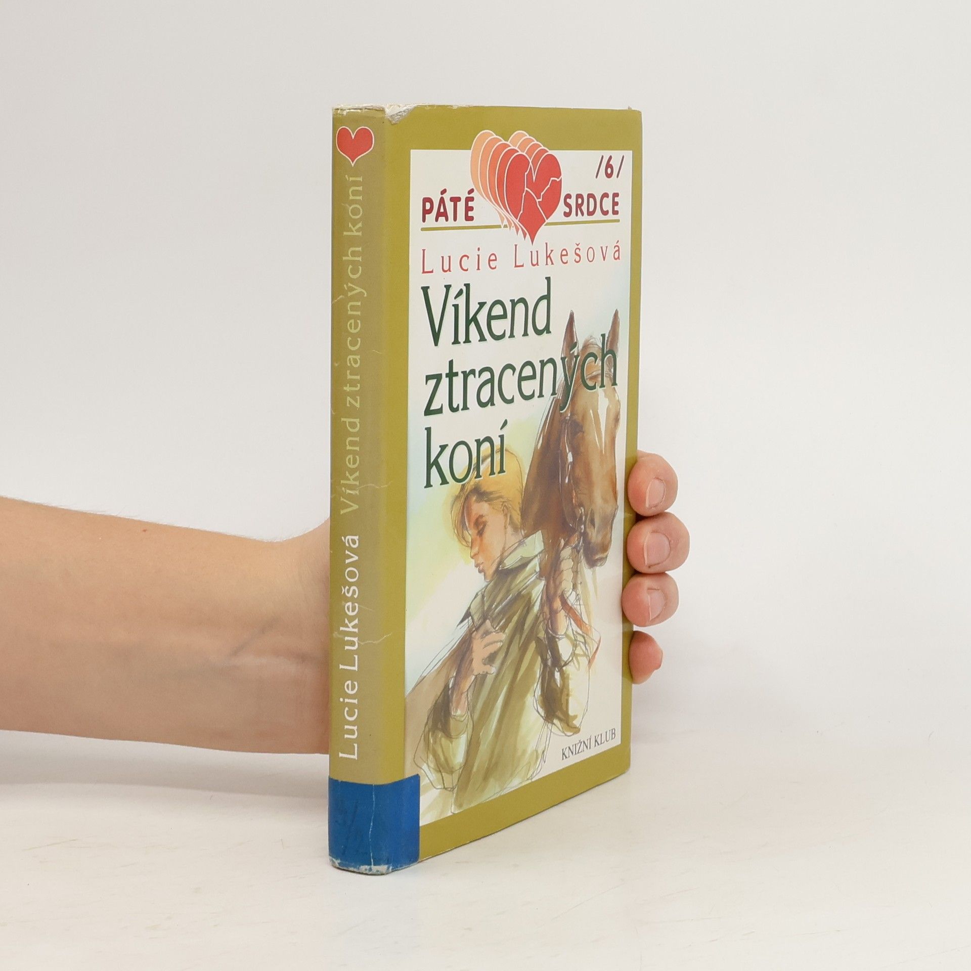 Víkend ztracených koní