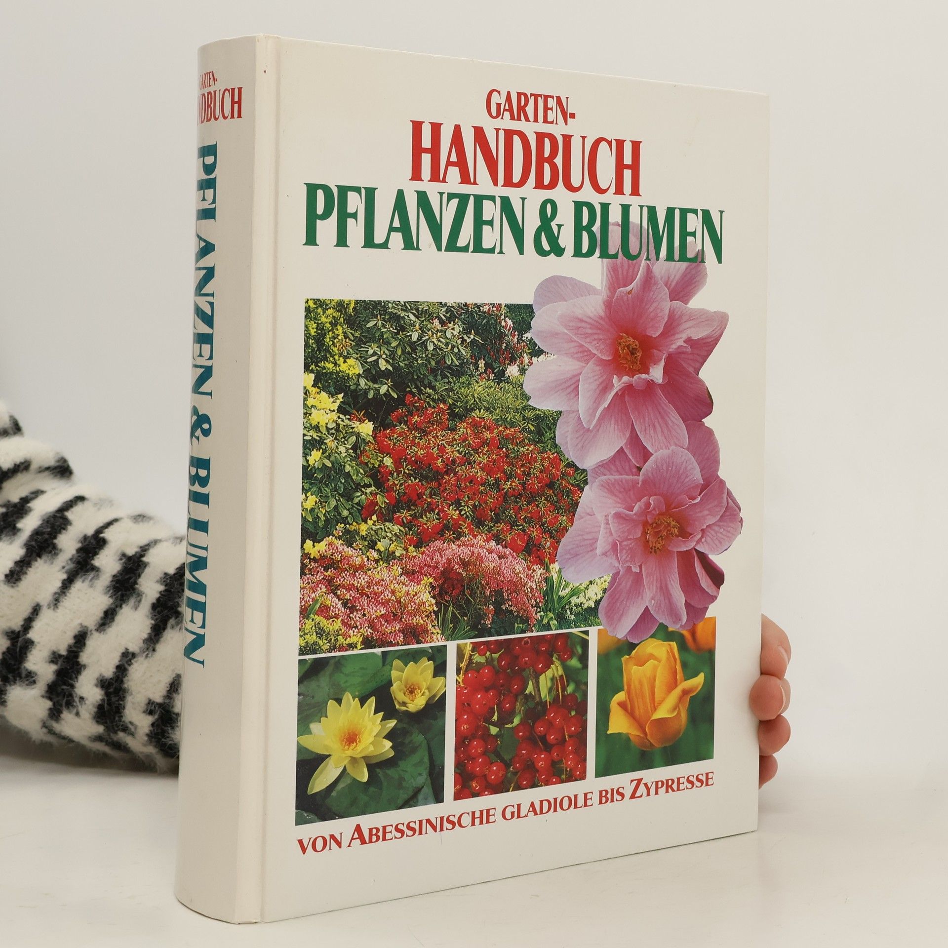 Autorenkollektiv Garten-Handbuch Pflanzen & Blumen
