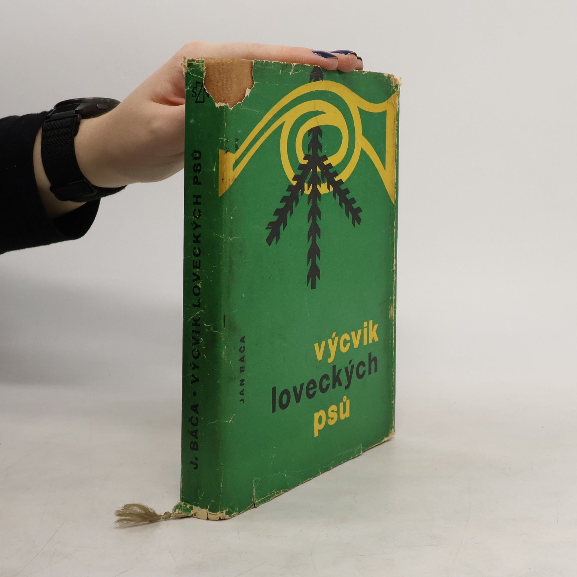 Výcvik loveckých psů. Individuální výcvik