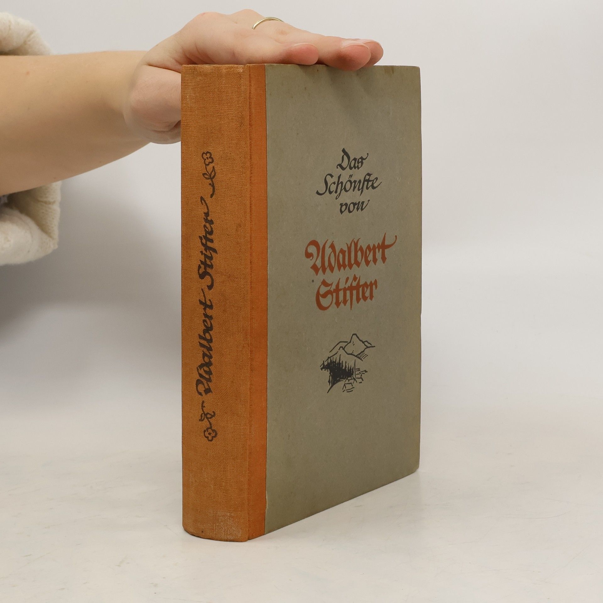 Das Schönste von Adalbert Stifter