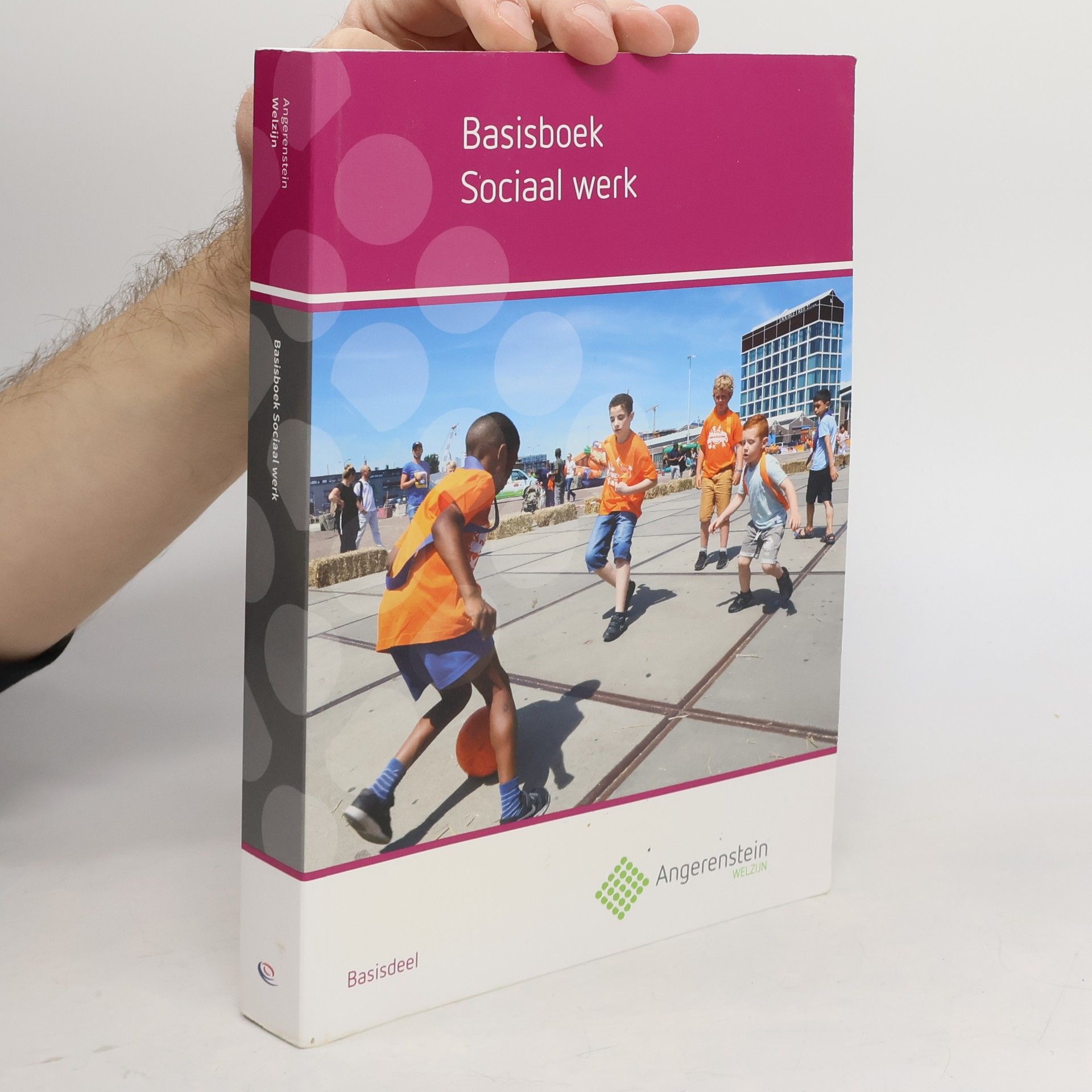 Basisboek sociaal werk