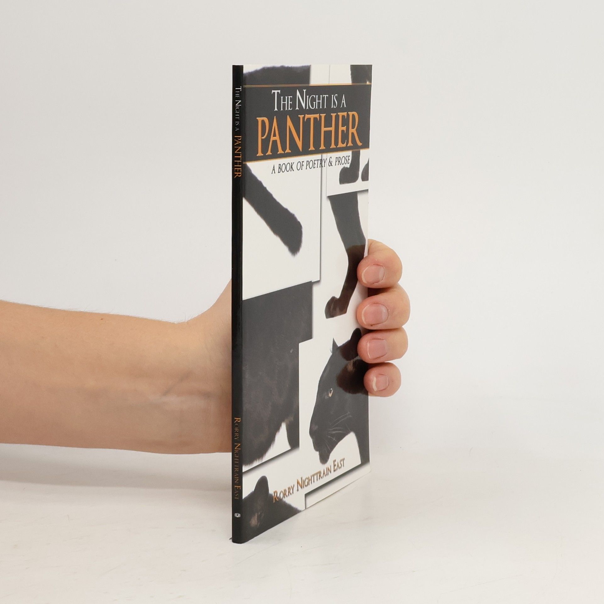 Rorry Nighttrain East The Night is a Panther