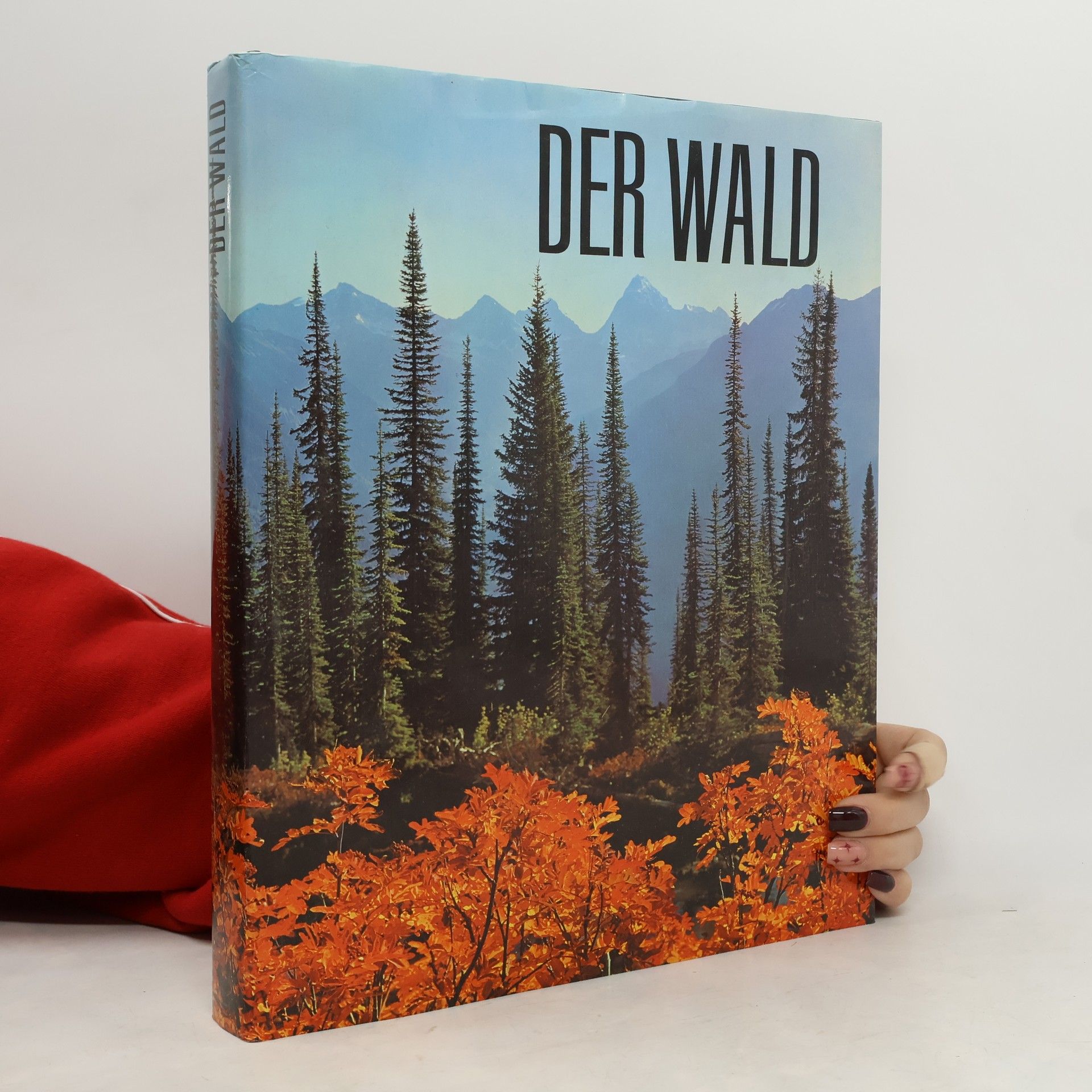 Walter Kümmerly Der Wald