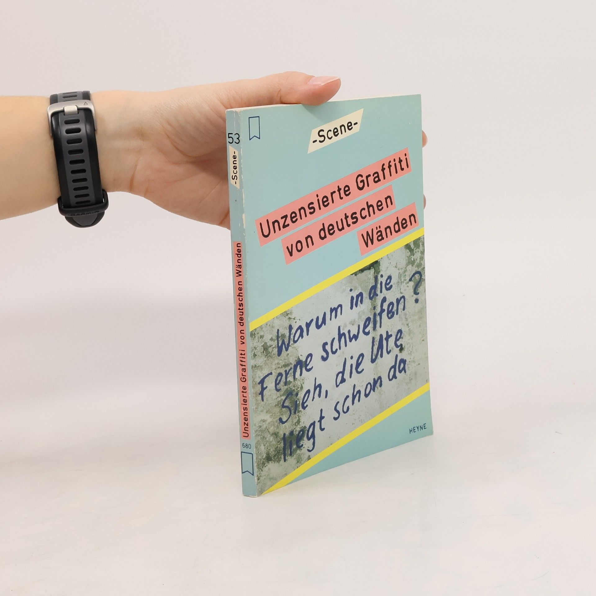 Michael Hallstatt Unzensierte Graffiti von deutschen Wänden