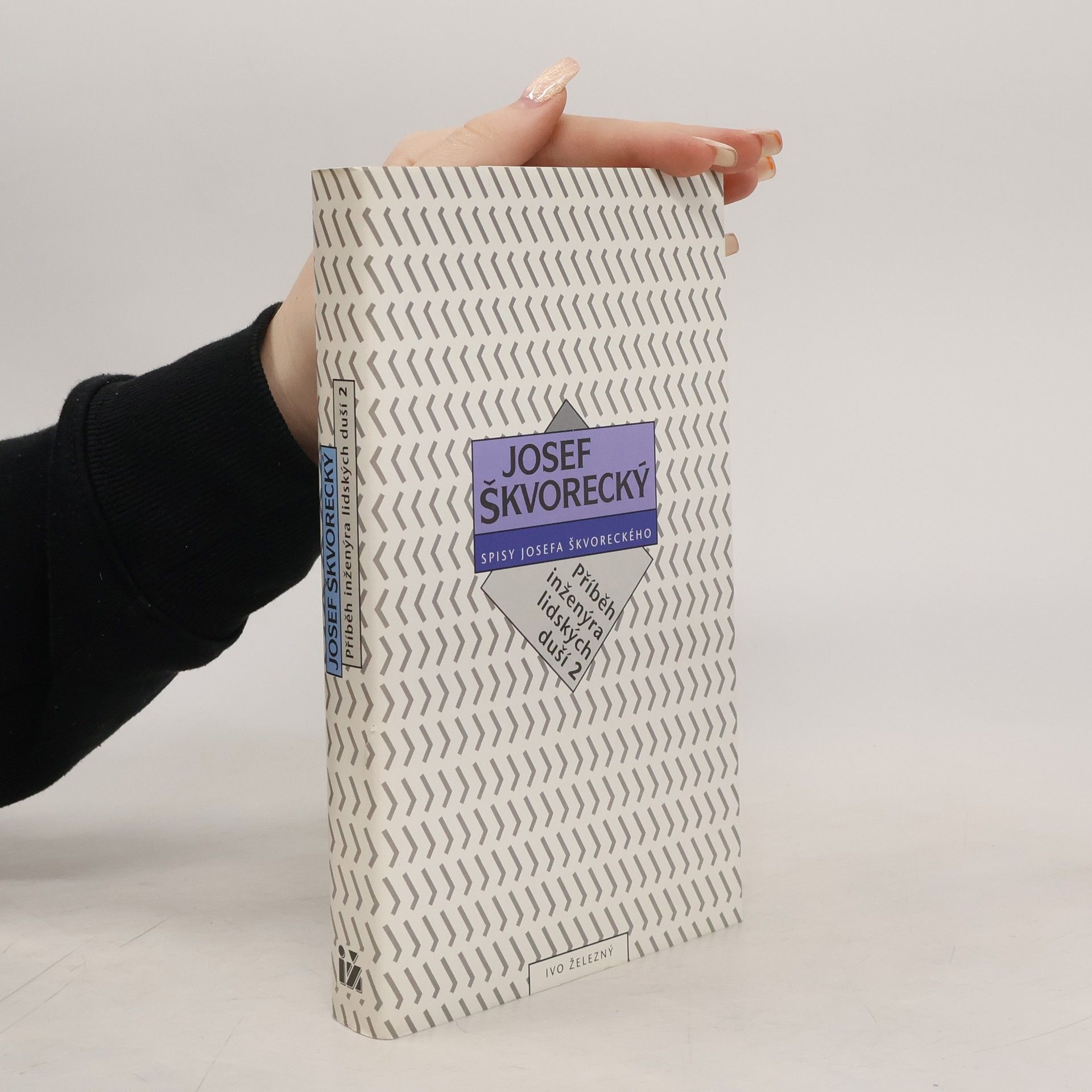 Příběh inženýra lidských duší 2